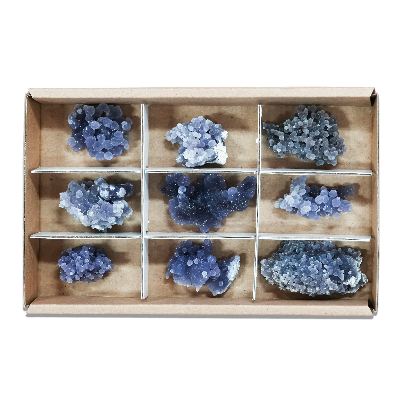 Third front view of nine grape chalcedony rough specimens arranged in compartments inside a sturdy flat box with sections, showing irregular botryoidal clusters in purple, blue, gray, and green tones. Showcasing variations.