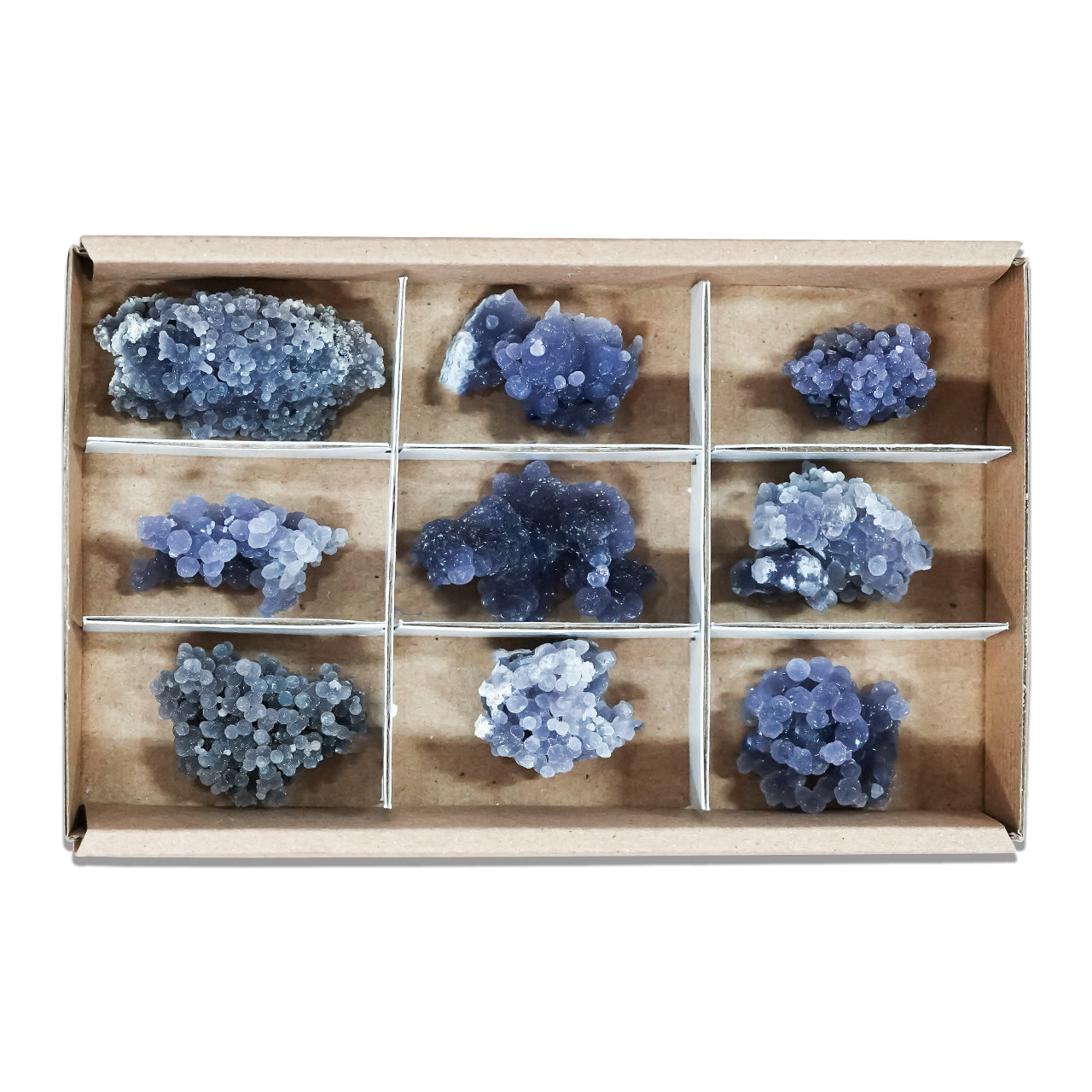 Second front view of nine grape chalcedony rough specimens arranged in compartments inside a sturdy flat box with sections, showing irregular botryoidal clusters in purple, blue, gray, and green tones. Showcasing variations.