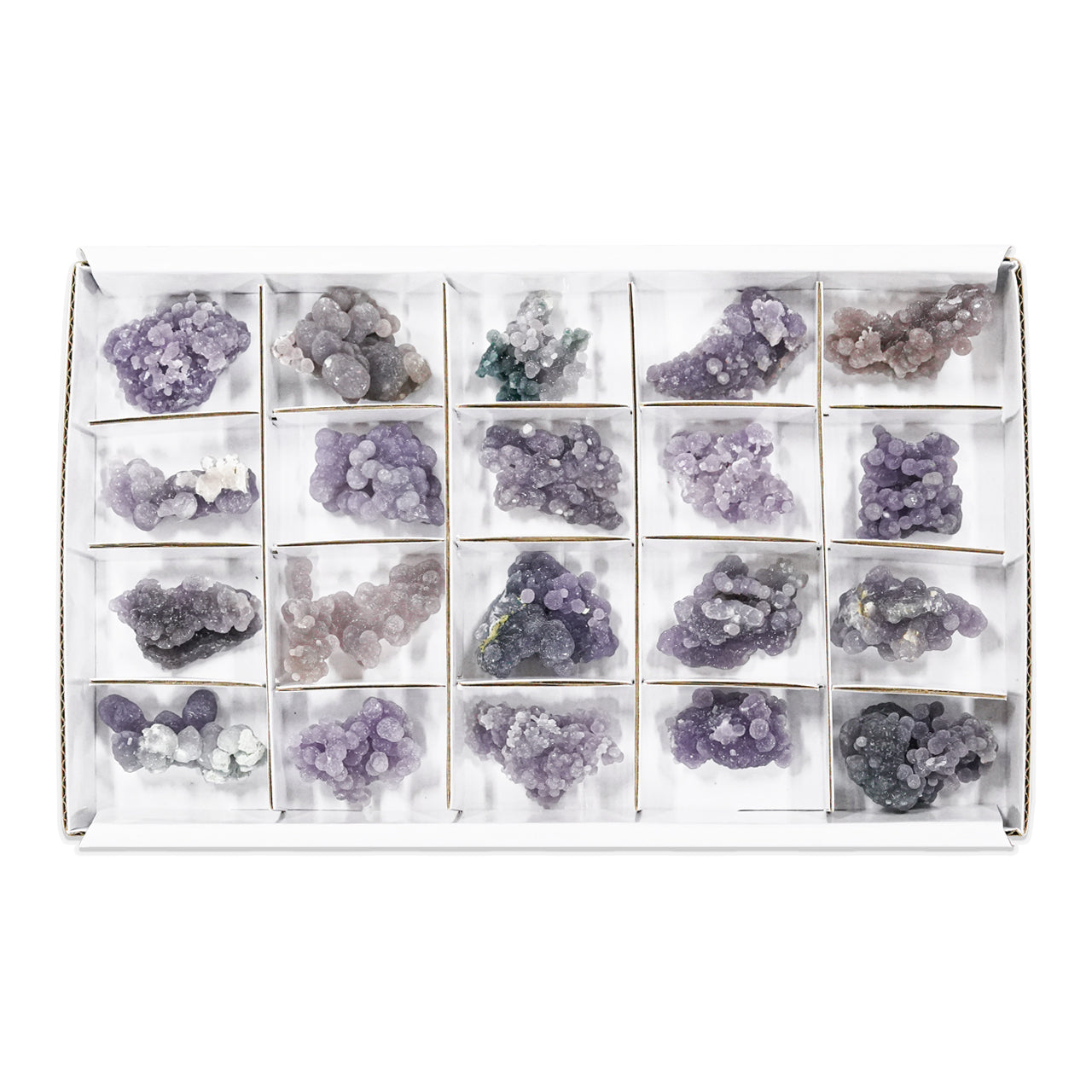 Second front view of twenty grape chalcedony rough specimens arranged in compartments inside a sturdy flat box with sections, showing irregular clusters with purple and gray tones.