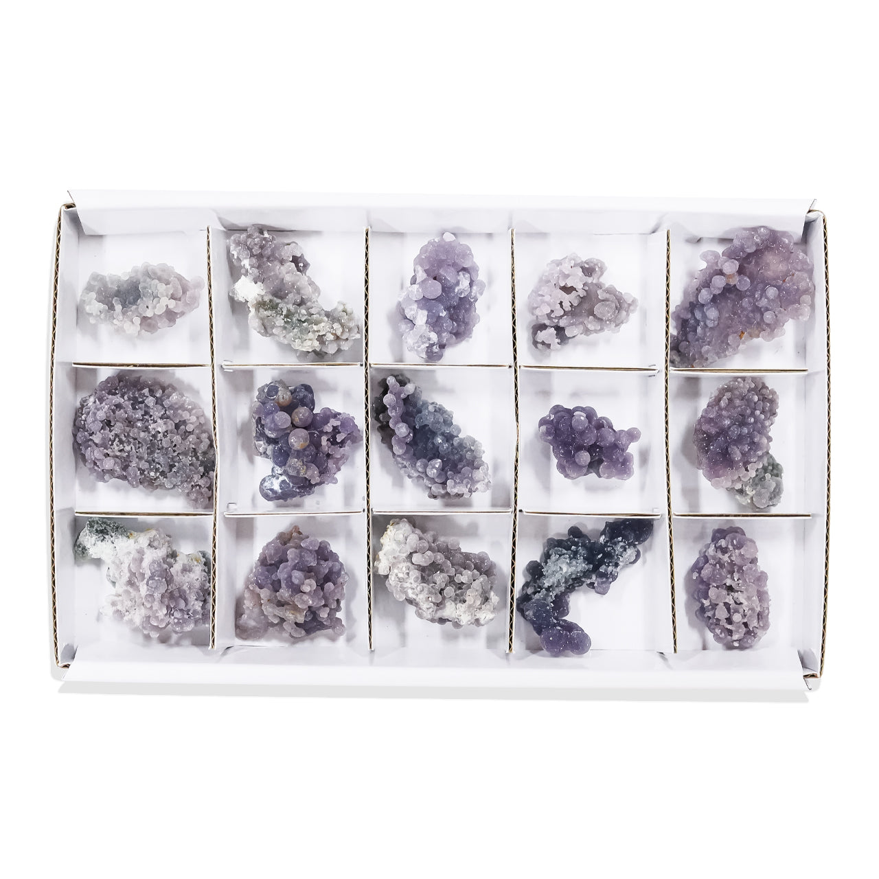 Second front view of fifteen grape chalcedony rough specimens arranged in compartments inside a sturdy flat box with sections, showing irregular botryoidal clusters in purple and gray tones. Showcasing variations.