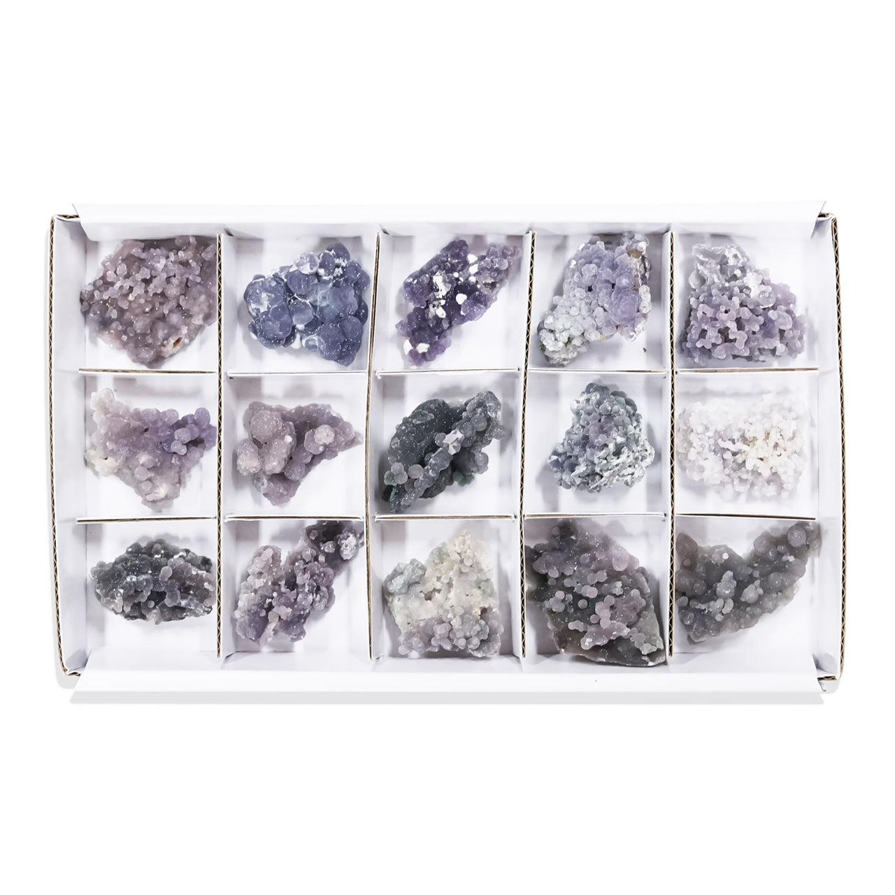 Third front view of fifteen grape chalcedony rough specimens arranged in compartments inside a sturdy flat box with sections, showing irregular botryoidal clusters in purple and gray tones. Showcasing variations.
