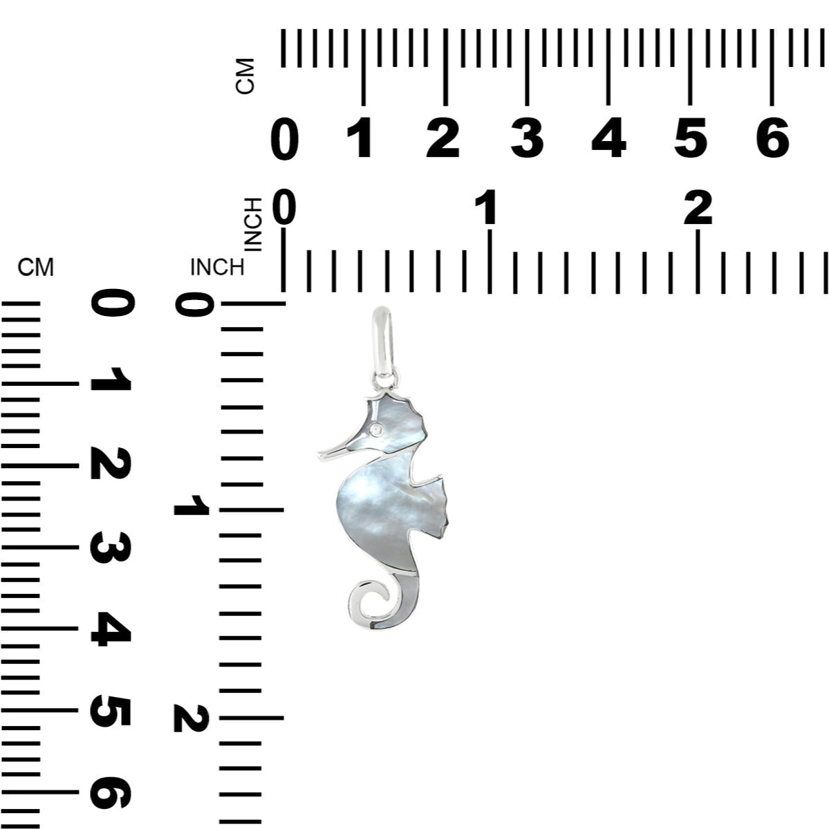 CMOPPE004.4