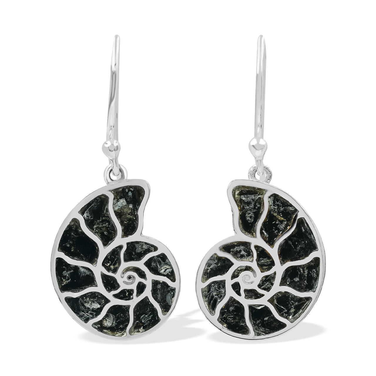 Black Muscovite Cast Ammonite Earrings