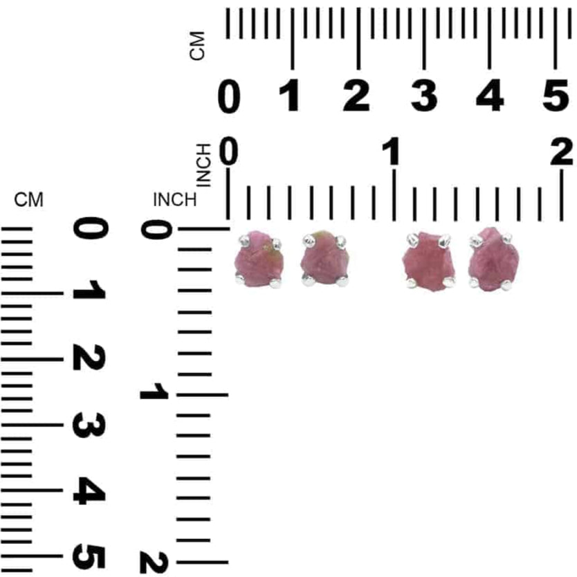 Record Keeper Ruby Post Earrings