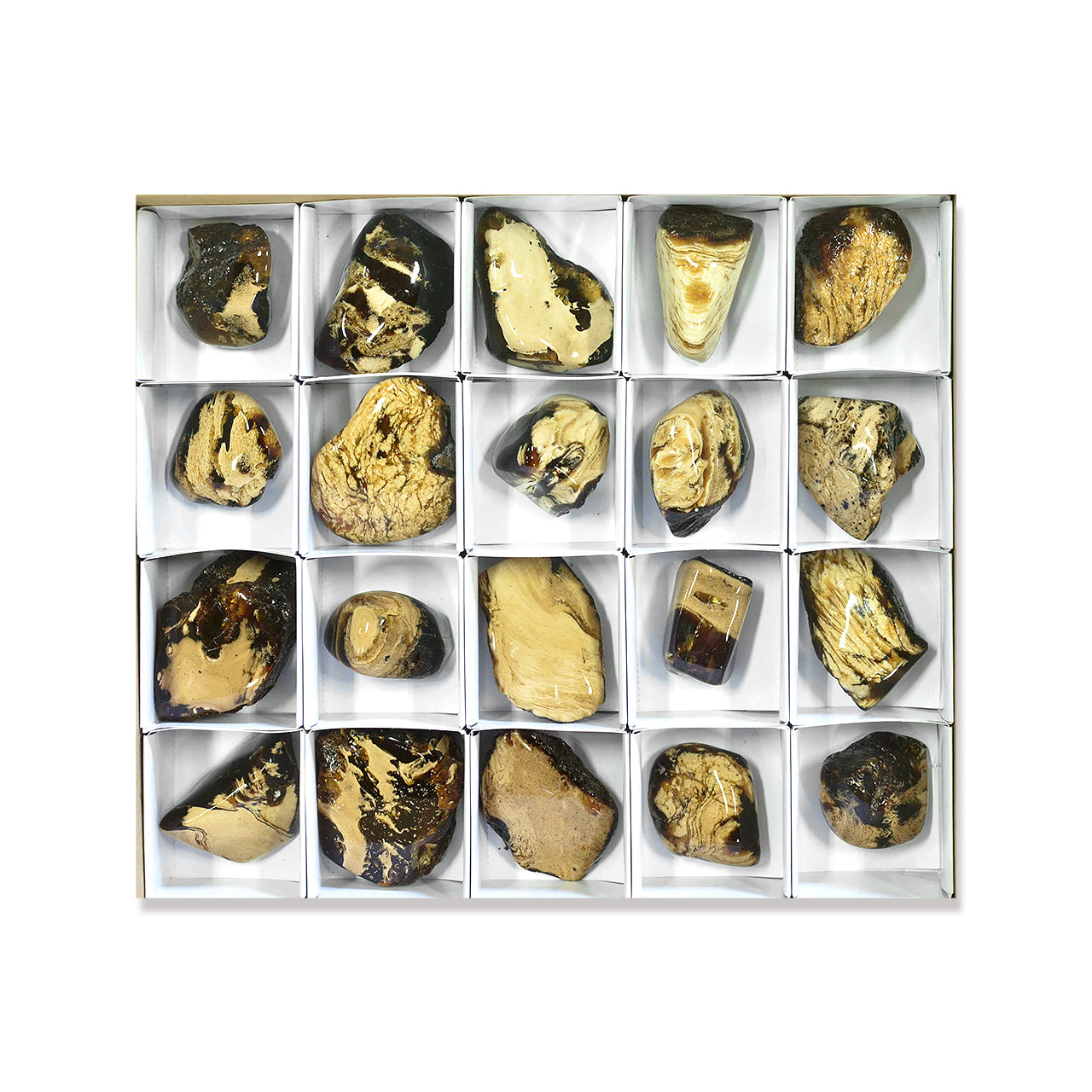 Large Box Milk and Honey Amber, 20 pcs