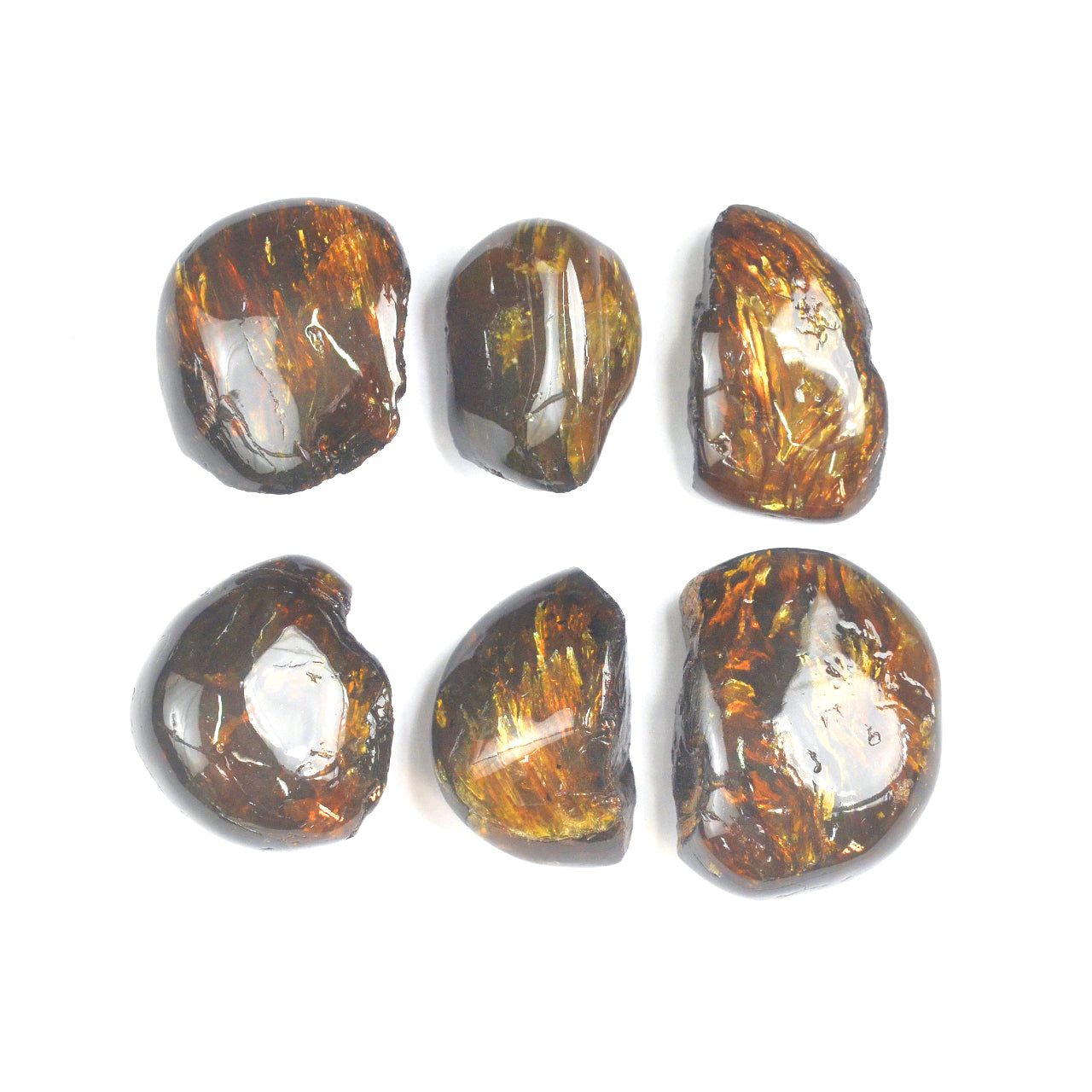 Alternate front view of six polished Lion’s Mane Sumatra Amber collector pieces