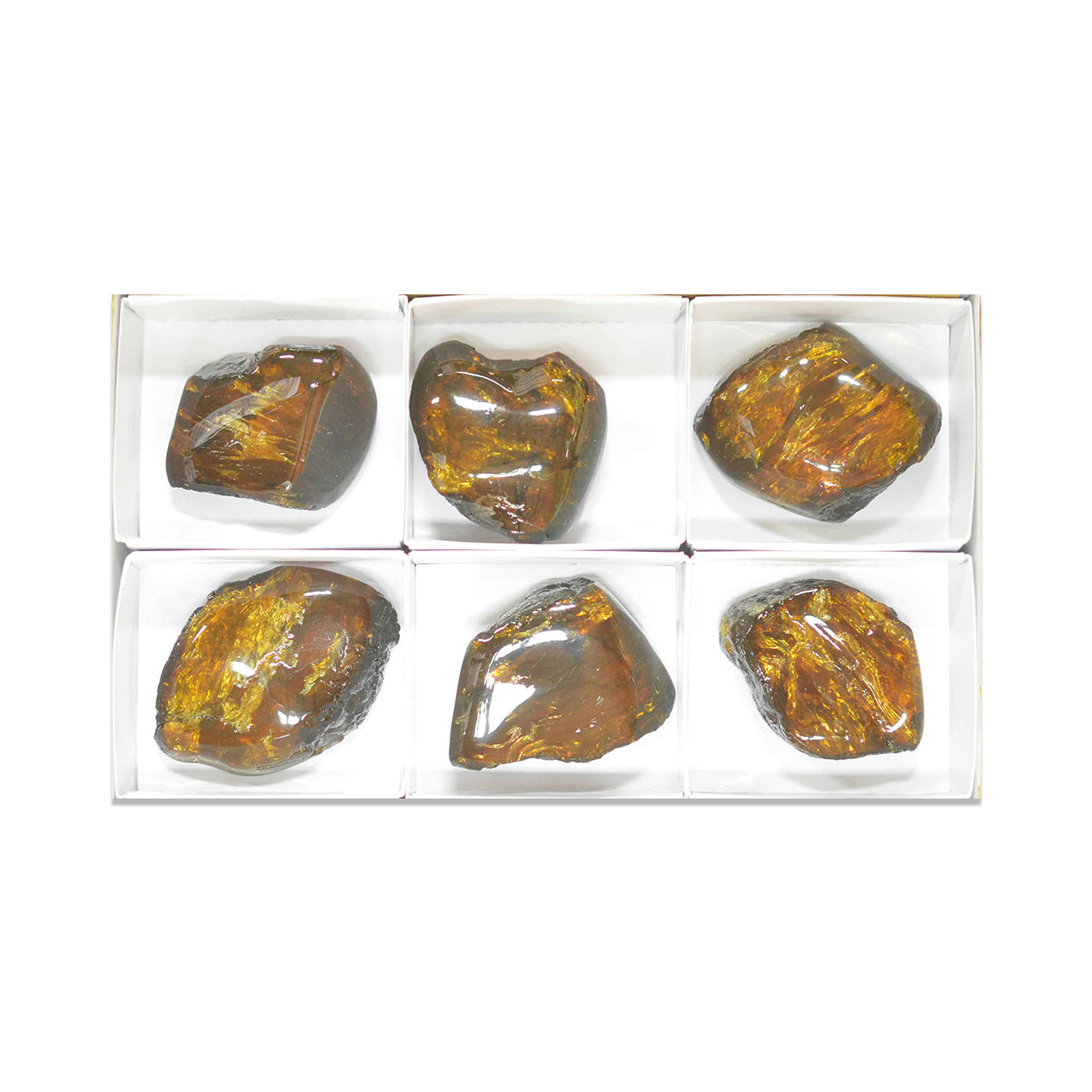 Fifth alternate front view of six polished Lion’s Mane Sumatra Amber collector pieces arranged in a white box with dividers.