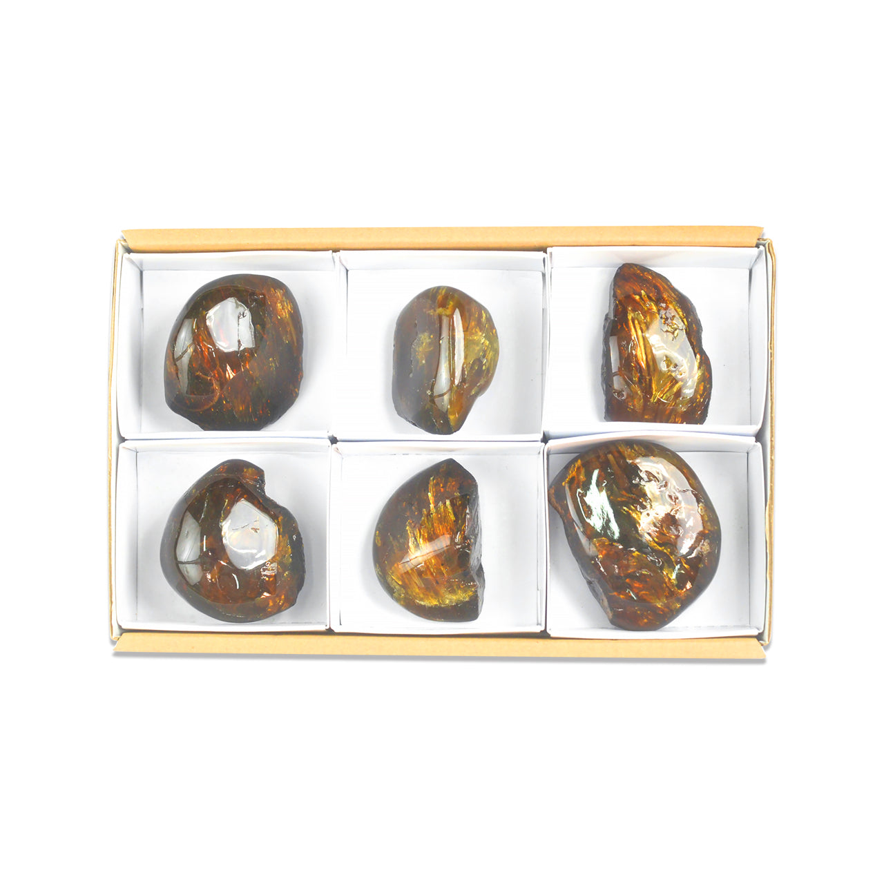 Fourth alternate front view of six polished Lion’s Mane Sumatra Amber collector pieces arranged in a flat box with dividers.