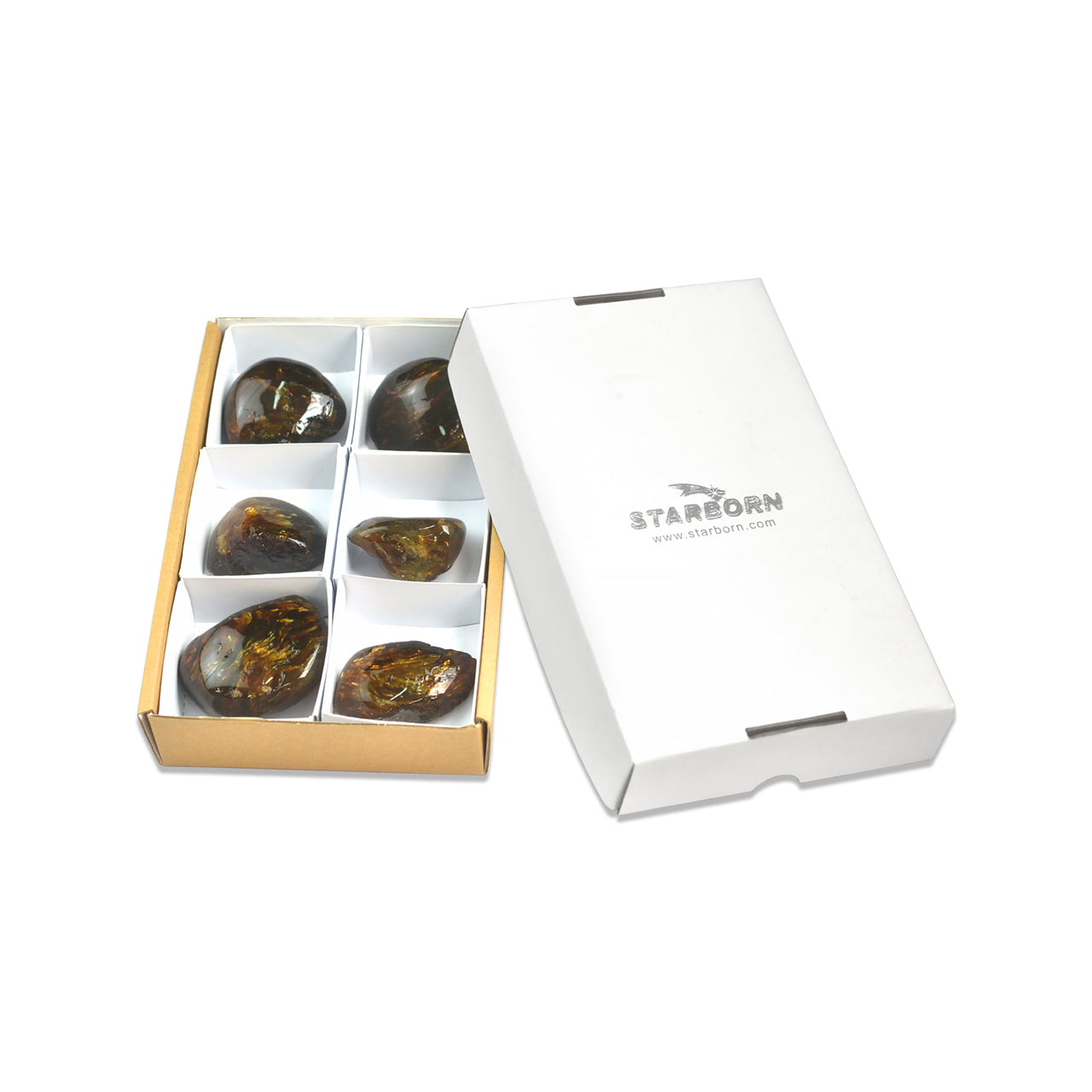 White box containing six polished Lion’s Mane Sumatra amber collector pieces arranged in dividers, shown beside a closed white lid.
