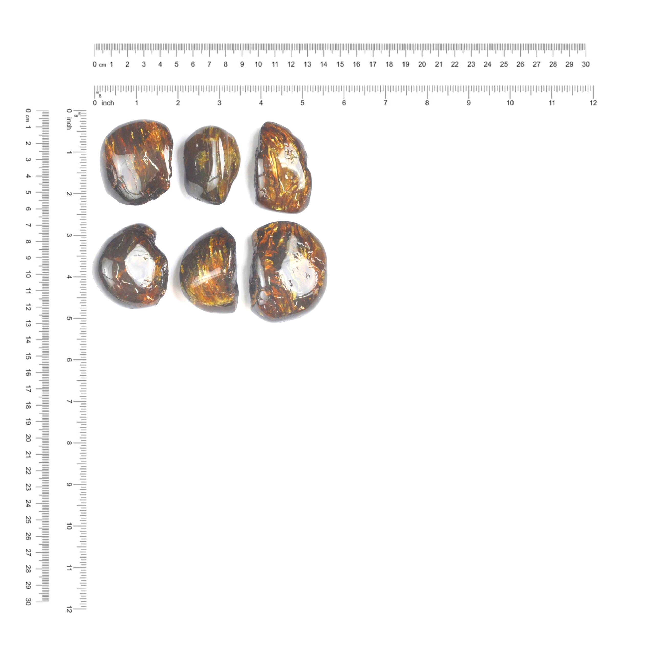 Polished Lion’s Mane Sumatra Amber collector pieces shown beside a measurement chart with dimensions in inches and centimeters.