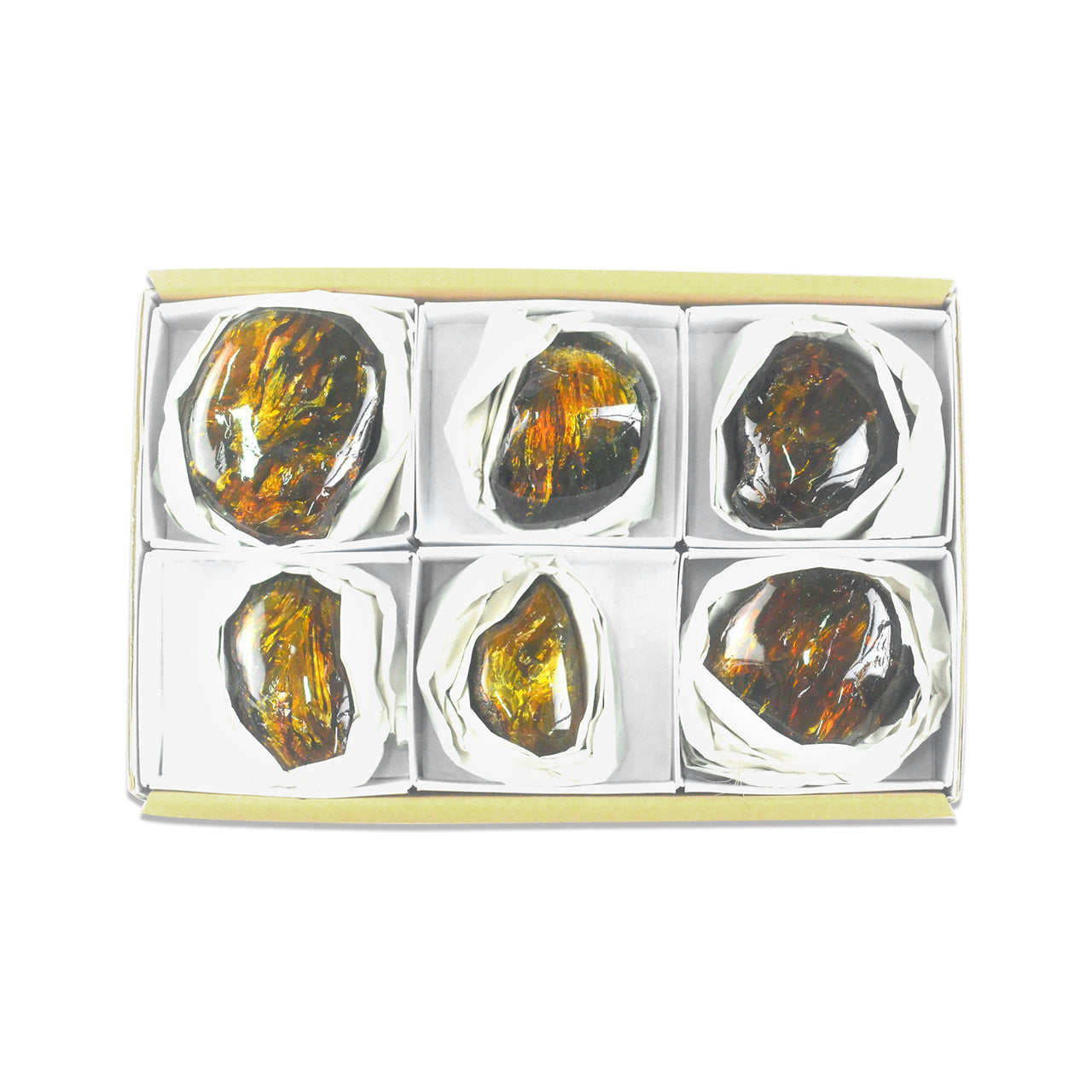 Seventh front view of six polished Lion’s Mane Sumatra amber collector pieces arranged in a flat box with dividers.