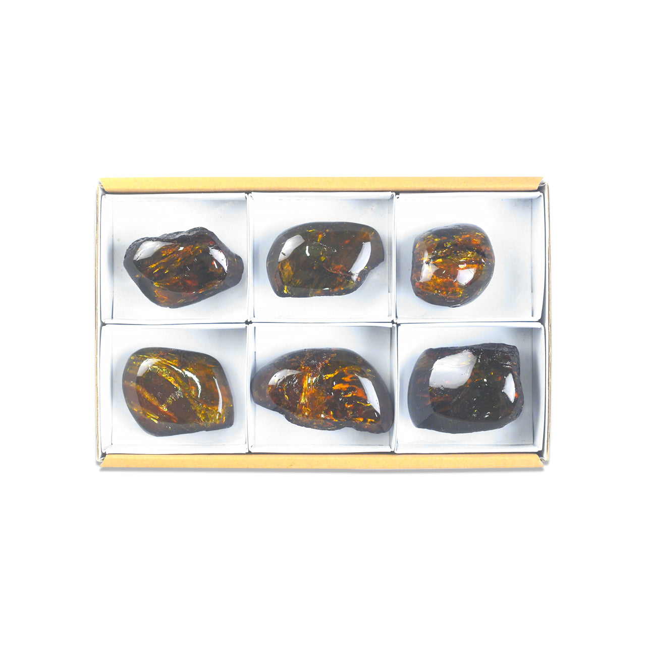 Sixth alternate front view of six polished Lion’s Mane Sumatra Amber collector pieces arranged in a flat box with dividers.