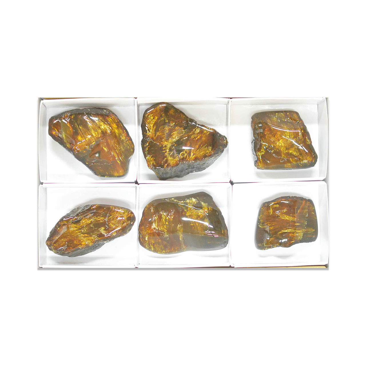 Front view of six polished Lion’s Mane Sumatra Amber collector pieces in a white flat box with dividers.