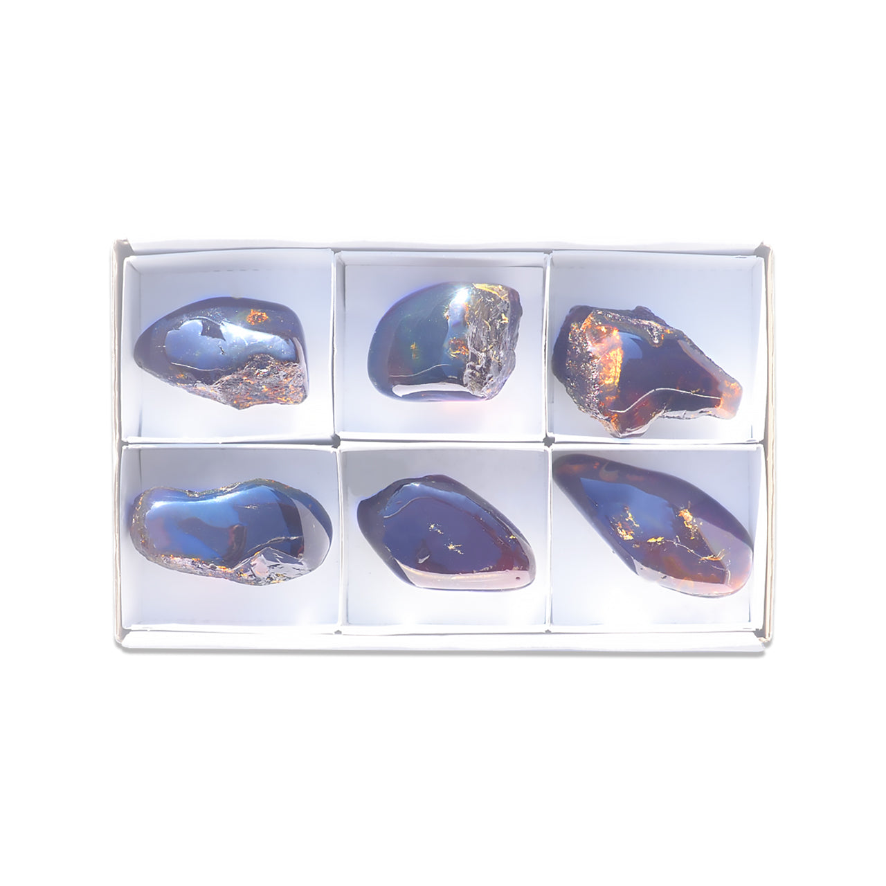 Second front view of six polished Sumatra Blue Amber collector pieces arranged in a white box with dividers.