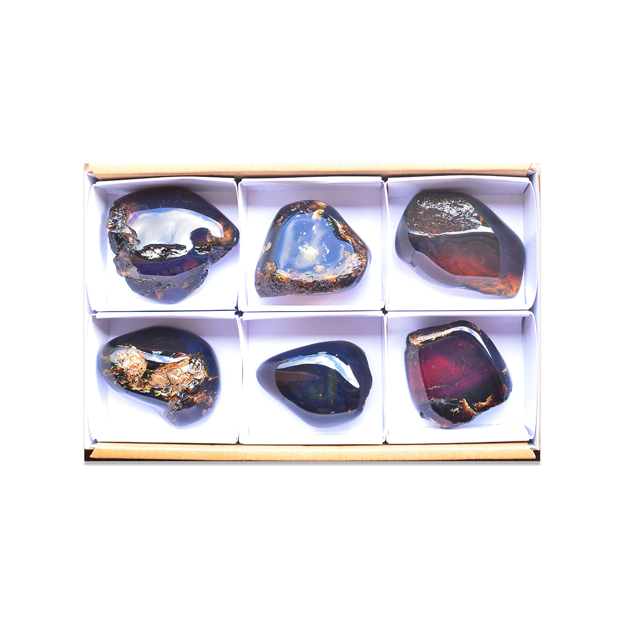 Fourth front view of six polished Sumatra Blue Amber collector pieces arranged in a white box with dividers
