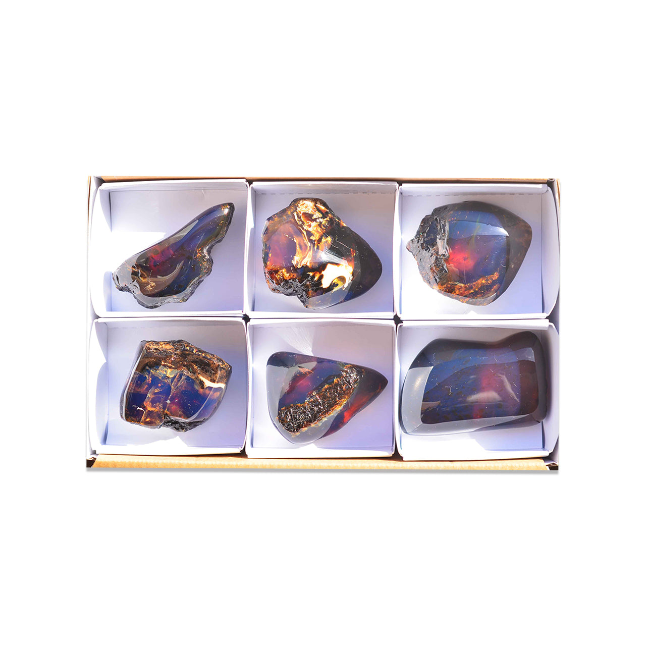Third front view of six polished Sumatra Blue Amber collector pieces arranged in a white box with dividers.