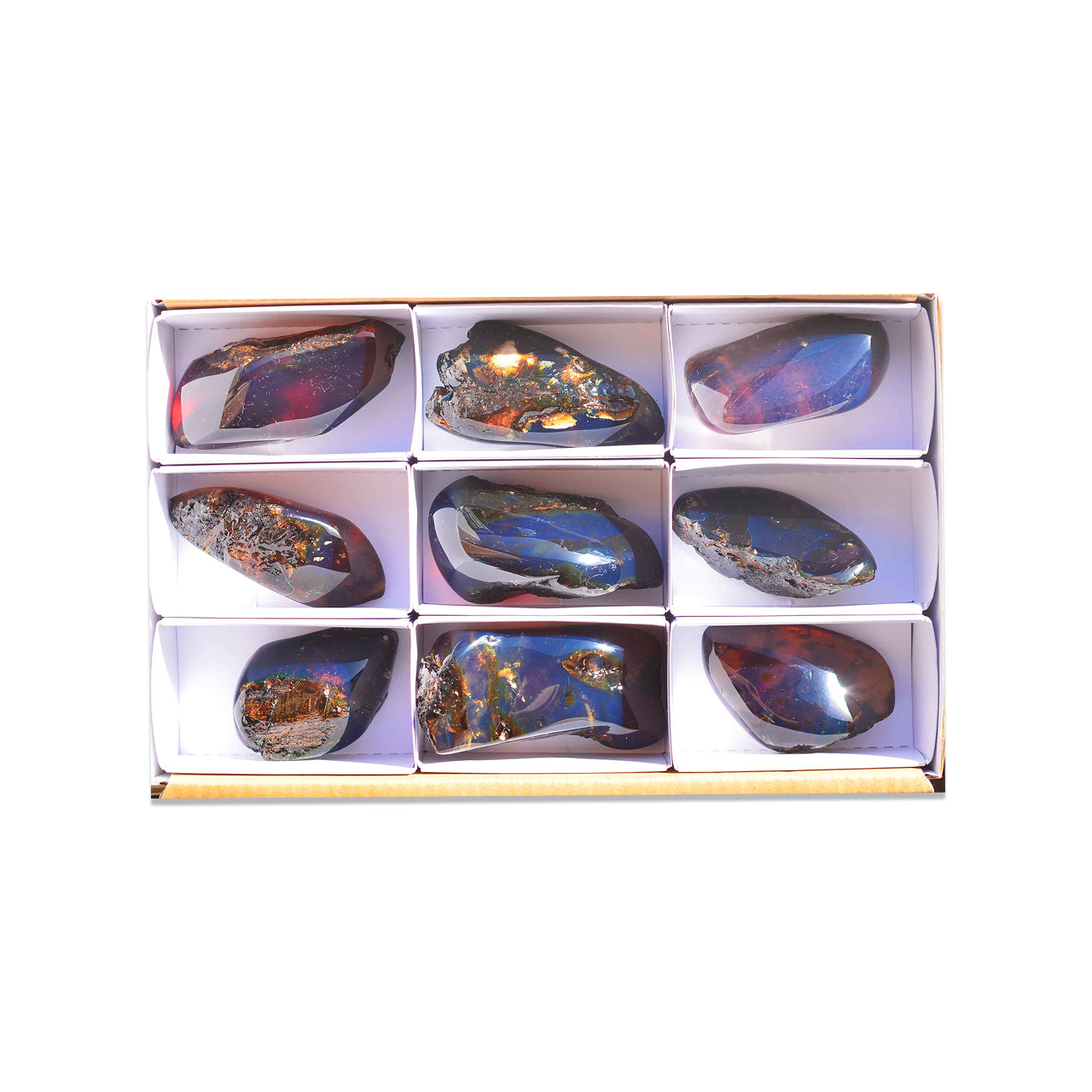 Front view of nine polished Sumatra Blue Amber collector pieces arranged in a white box with dividers.