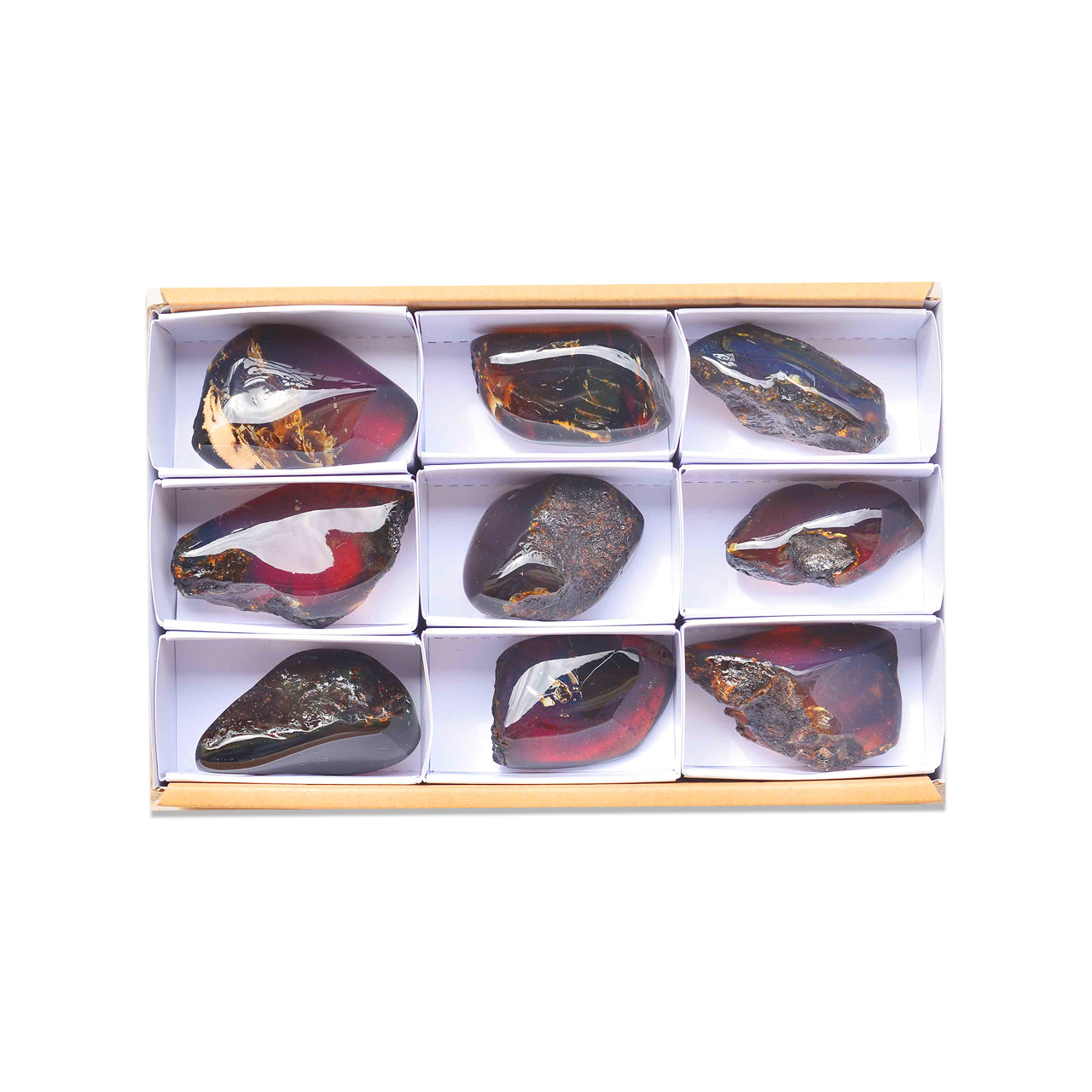 Second front view of nine polished Sumatra Blue Amber collector pieces arranged in a white box with dividers.