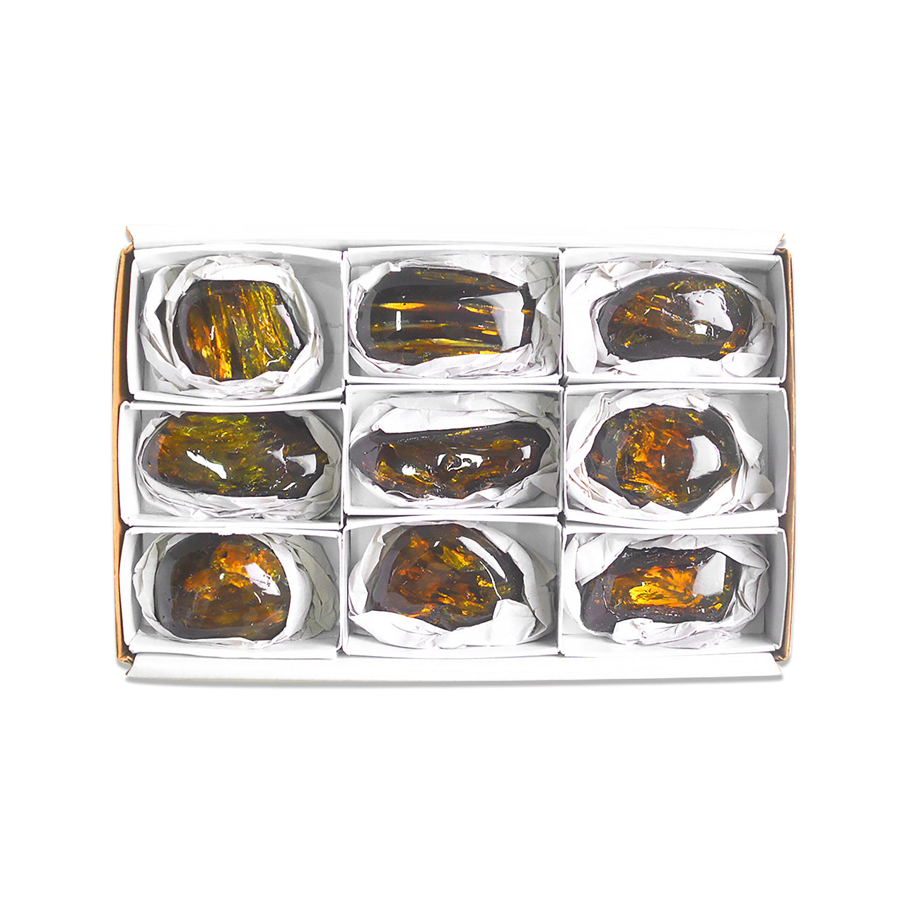 Small Box Lion's Mane Amber, 9 pcs
