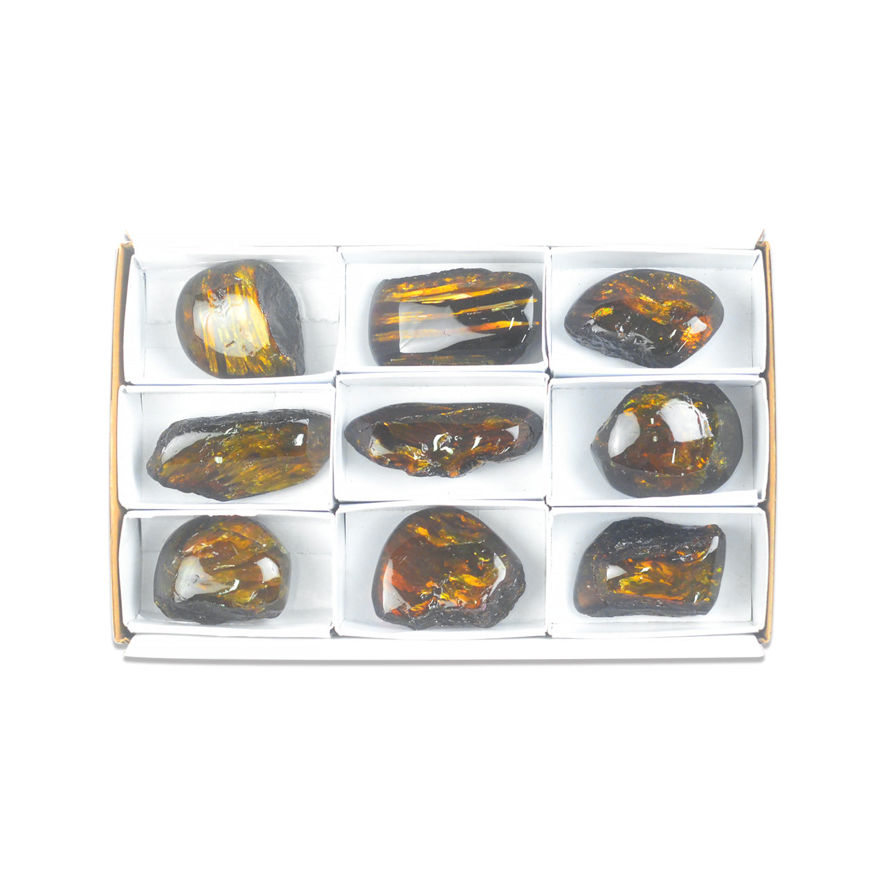 Small Box Lion's Mane Amber, 9 pcs