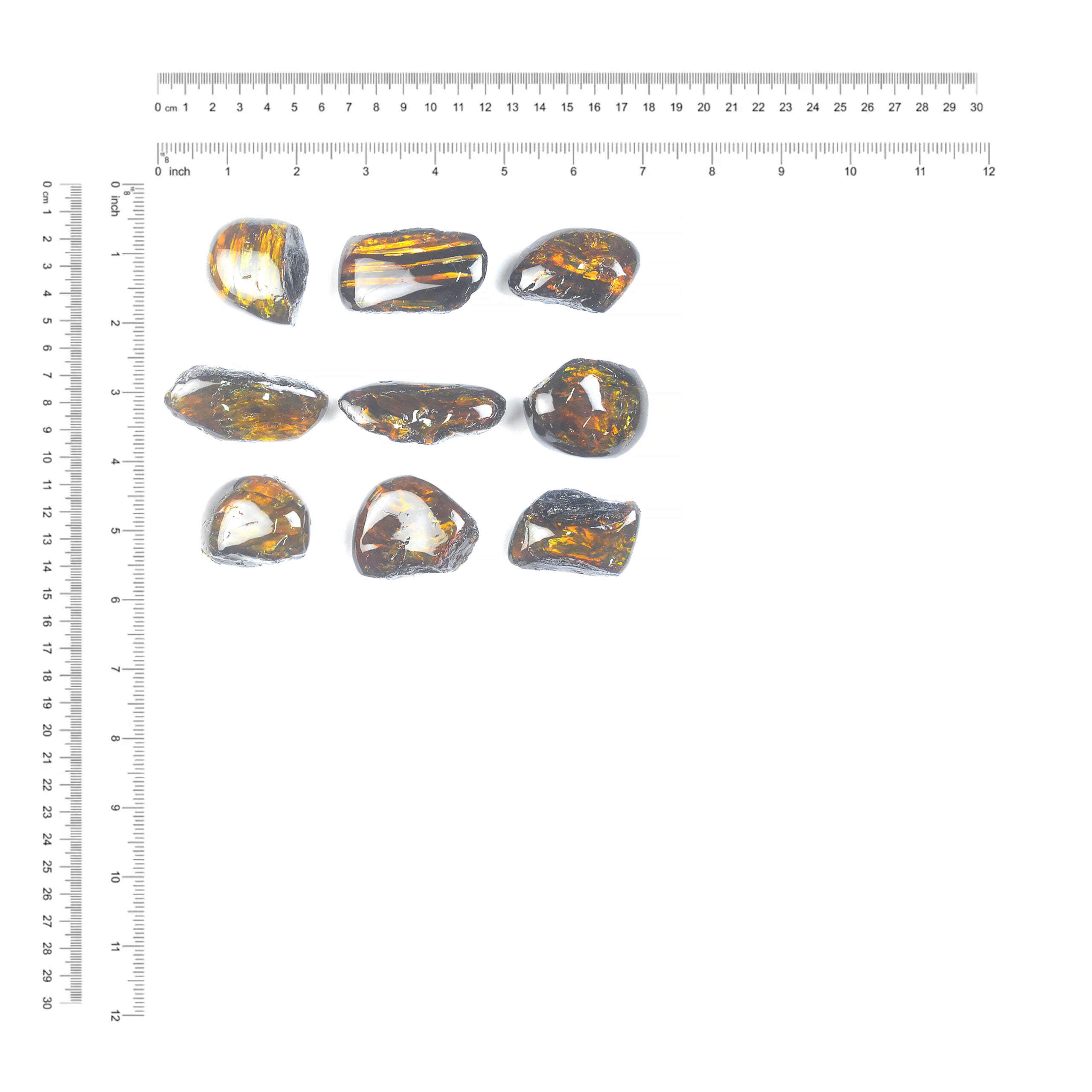 Small Box Lion's Mane Amber, 9 pcs