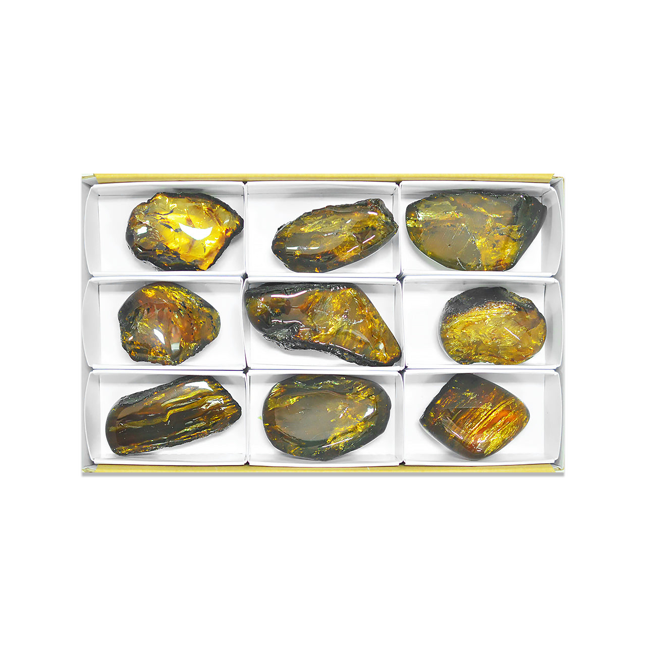 Small Box Lion's Mane Amber, 9 pcs