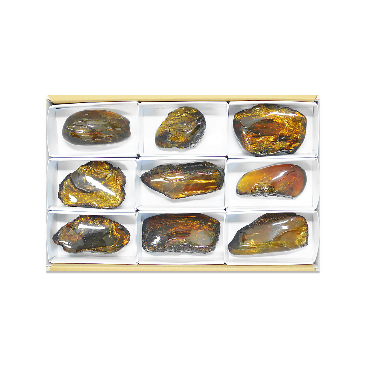 Small Box Lion's Mane Amber, 9 pcs