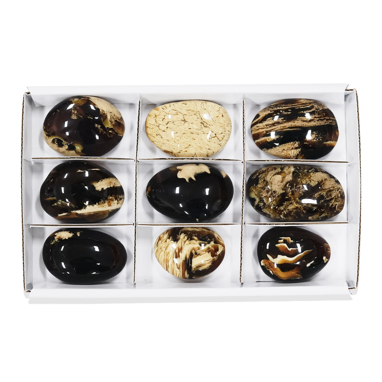 Alternate front view of 9 pcs Milk & Honey Sumatra Amber freeform palm stones arranged in a white box with dividers.