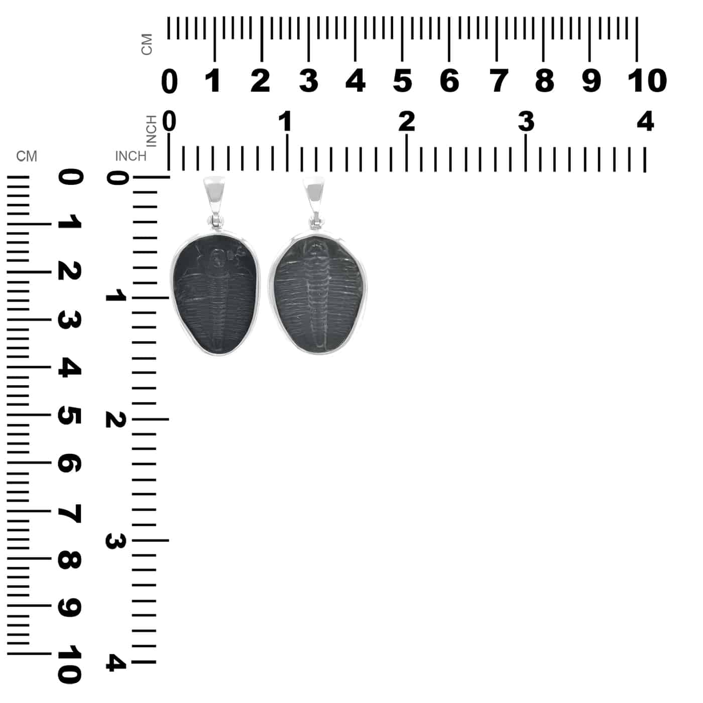CTBTPE002.5