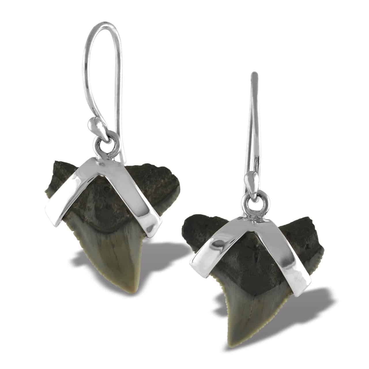 Fossil-Shark-Tooth-Sterling-Silver-Earrings-B01IFTQ3VC-2