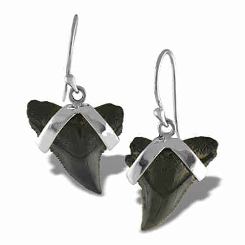 Fossil-Shark-Tooth-Sterling-Silver-Earrings-B01IFTQ3VC
