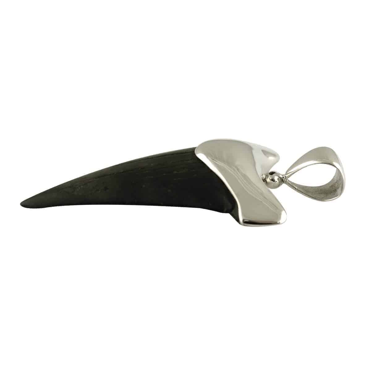 Fossil-Shark-Tooth-Sterling-Silver-Pendant-B073ZPWC1M-4