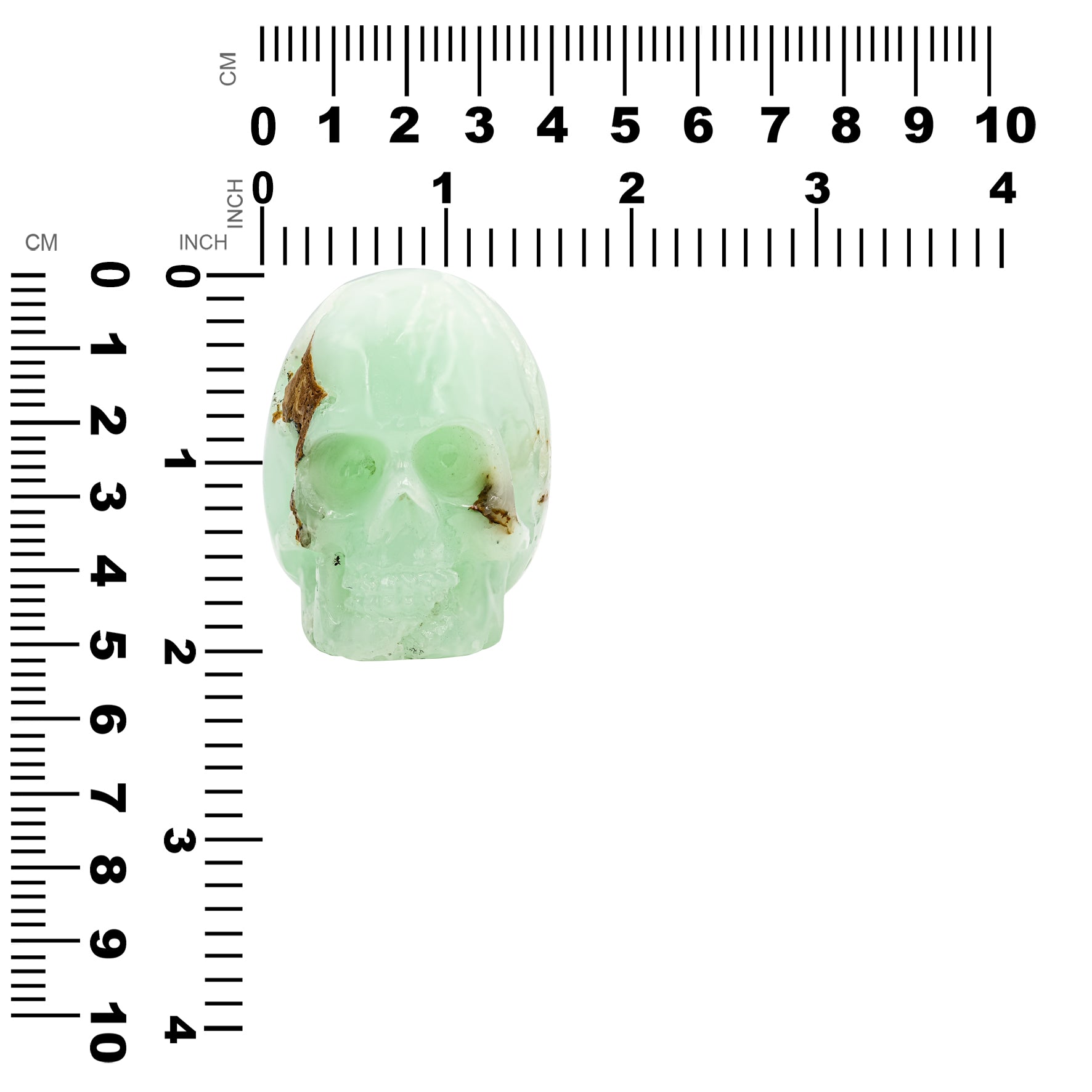 Chrysoprase Skull Carving 723cts