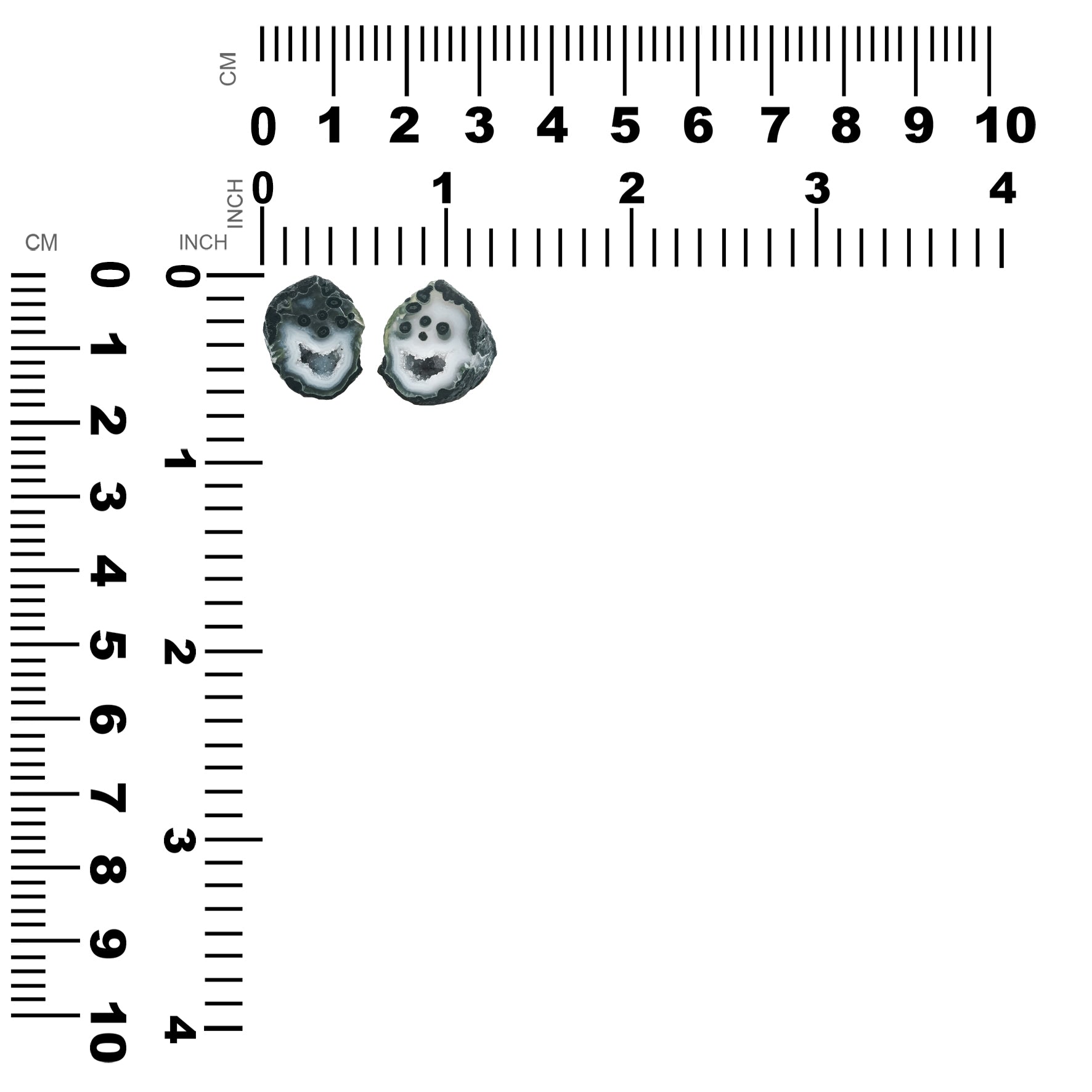 OGEOLS000001.4