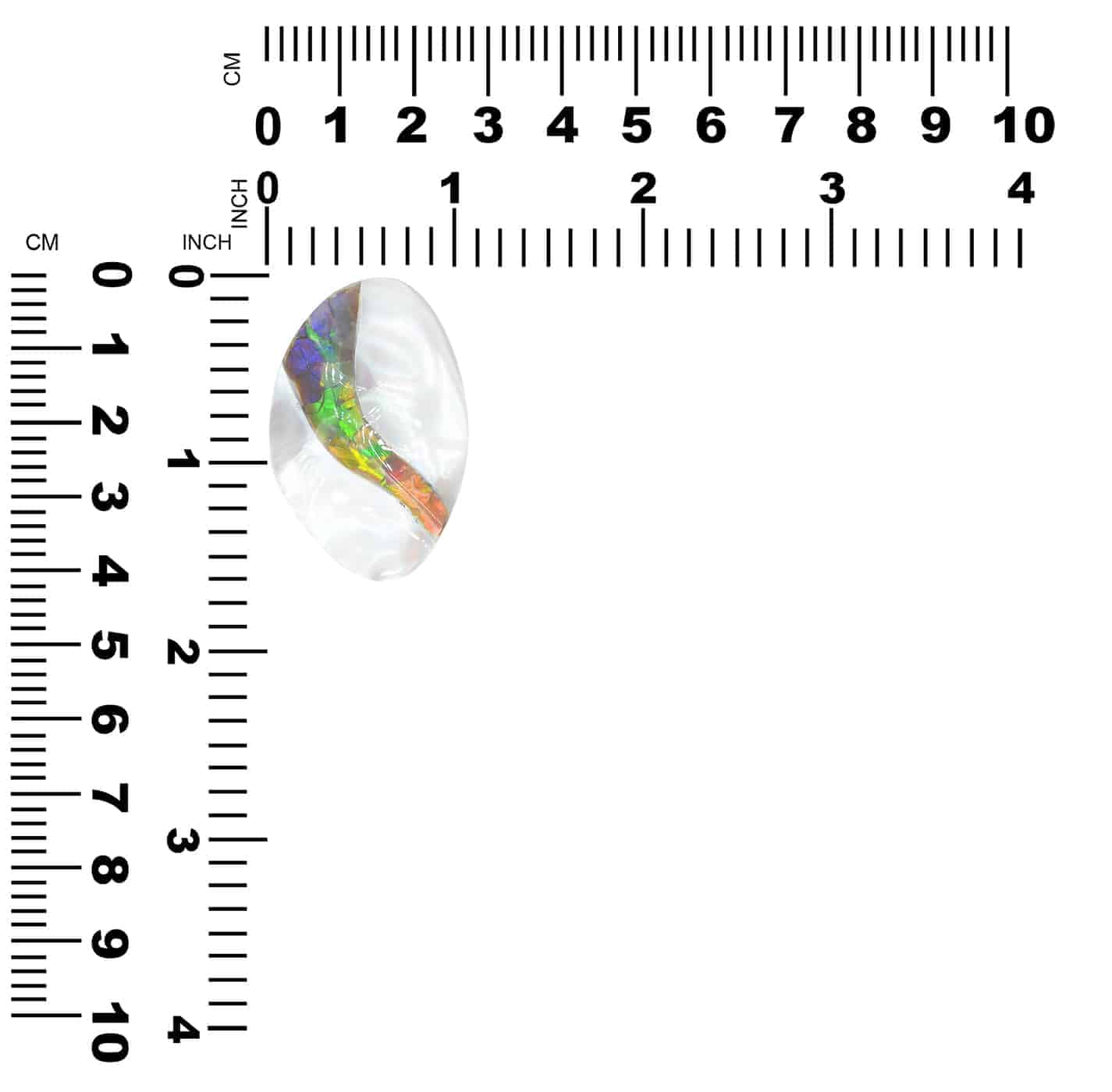 OMSILS000010.3