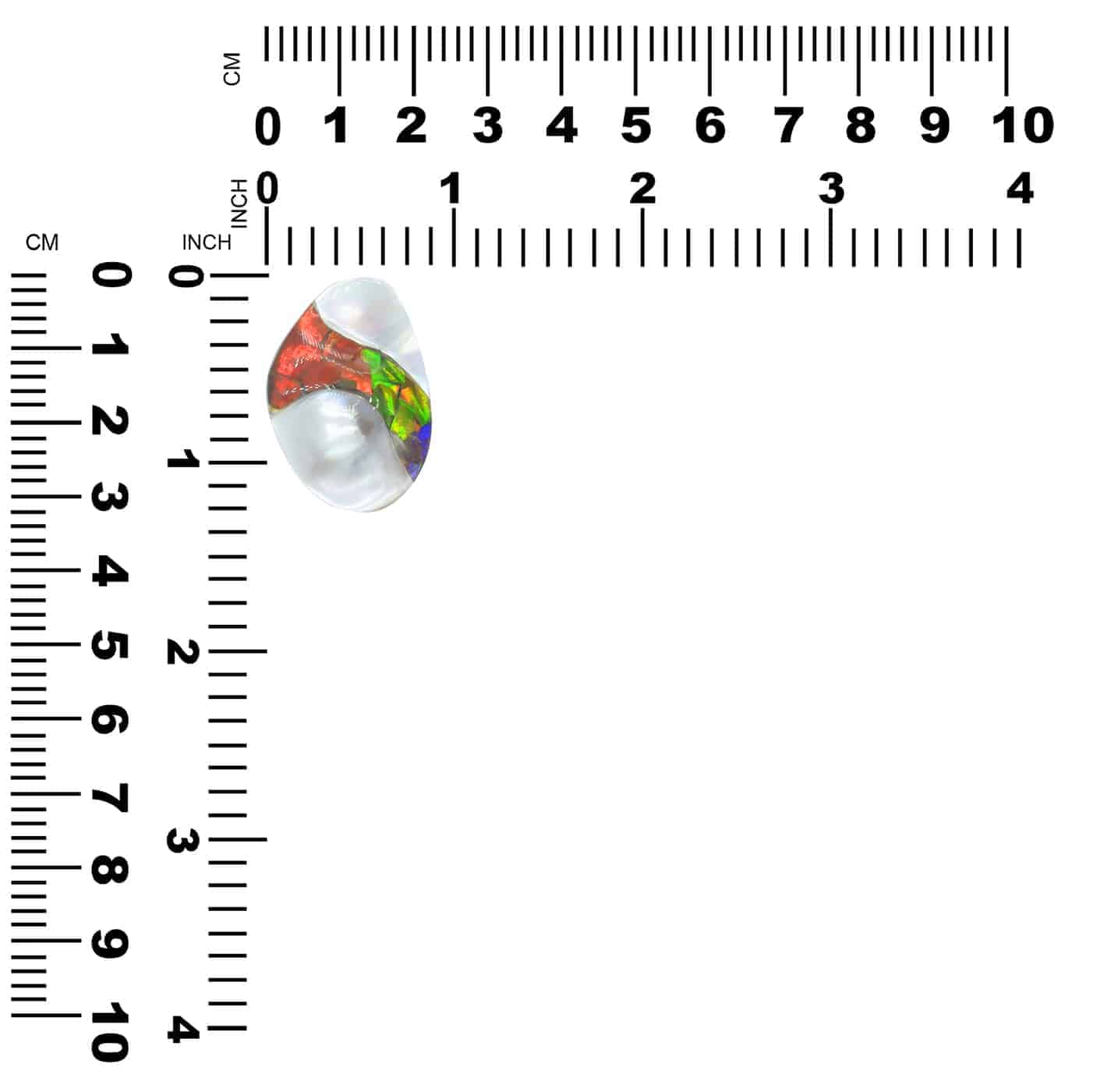 OMSILS000013.3