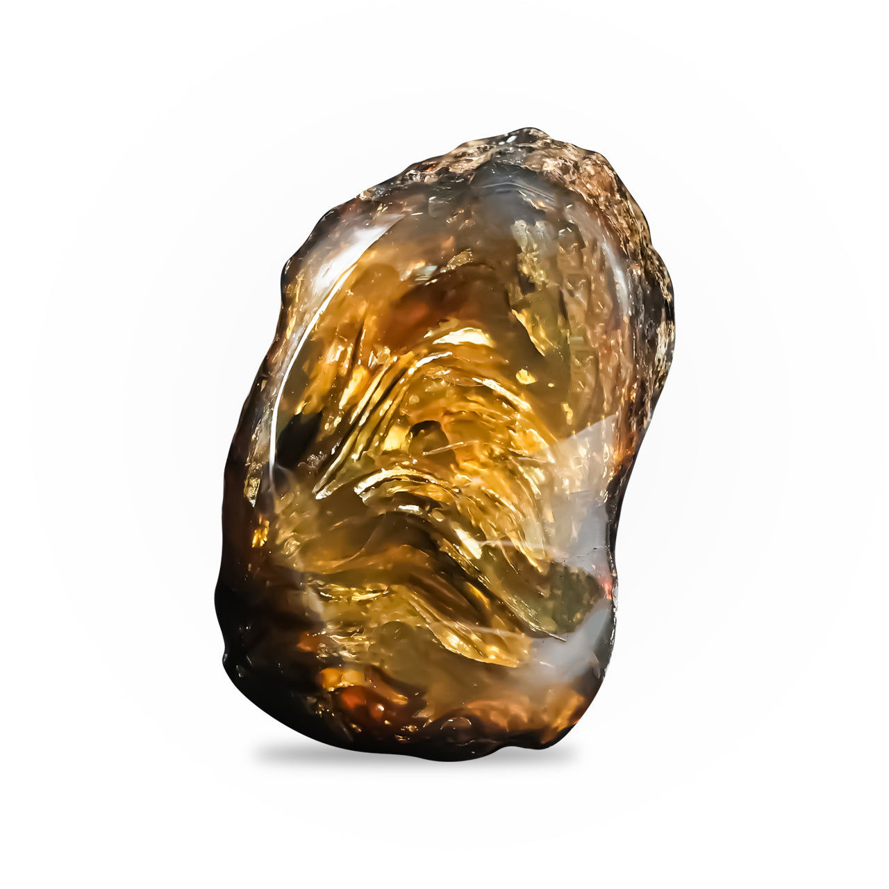 Sumatra Lion's Mane Amber
