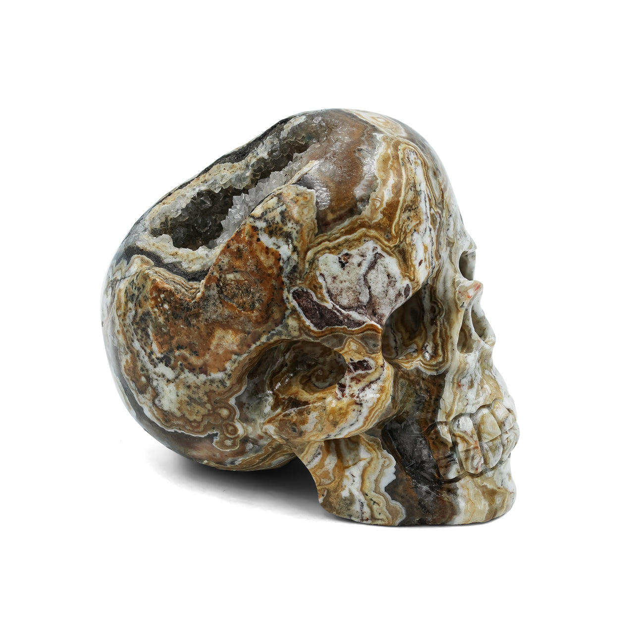 Arizona Verde Valley Chalcedony Agate Skull Carving 474.5cts