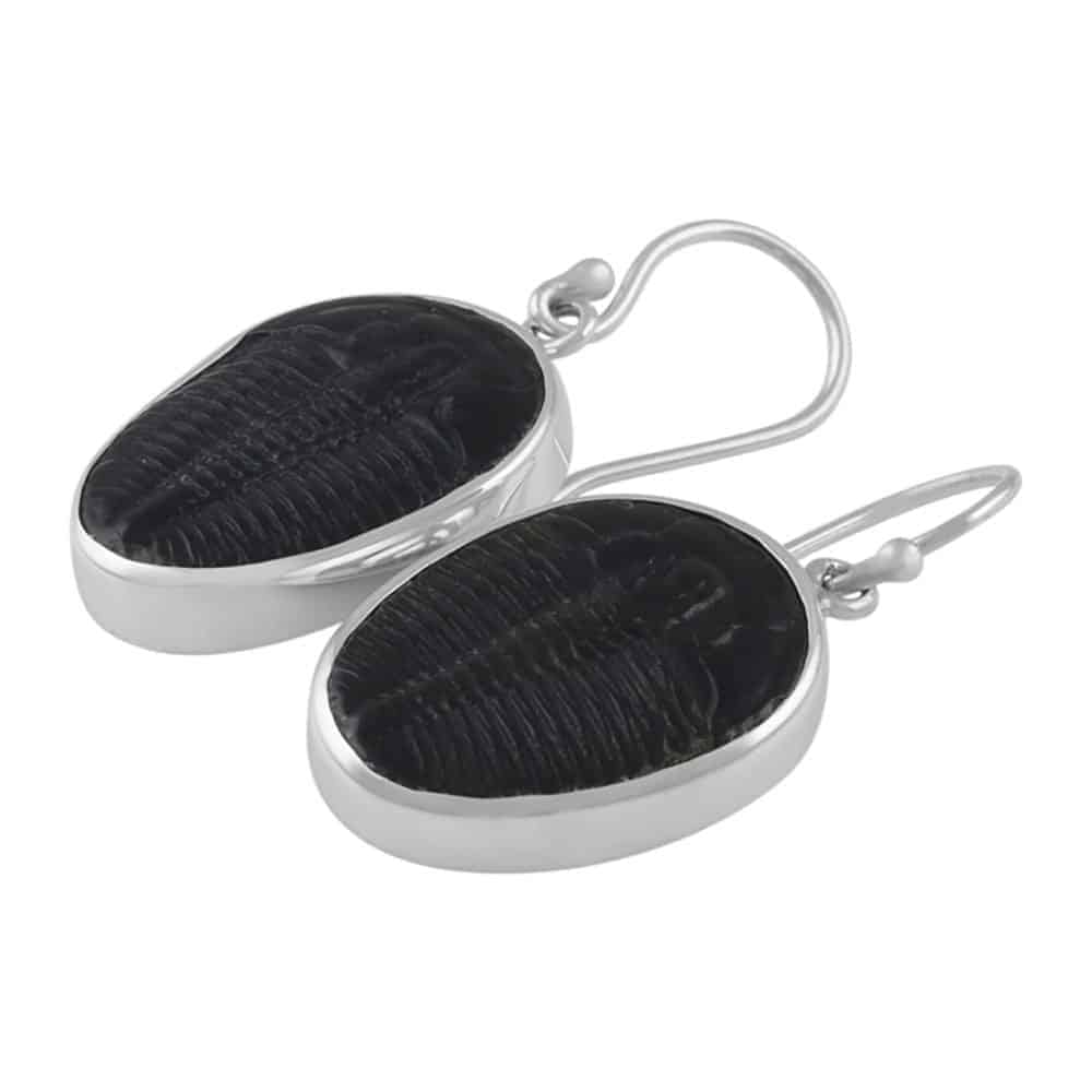 Starborn-Creations-Sterling-Silver-Fossilized-Trilobite-Earrings-B00RM66NE2-2