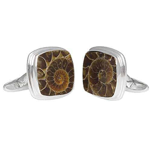 Starborn-Sterling-Silver-cushion-cut-Fossilized-Ammonite-Cuff-Links-B00QU7J7YC