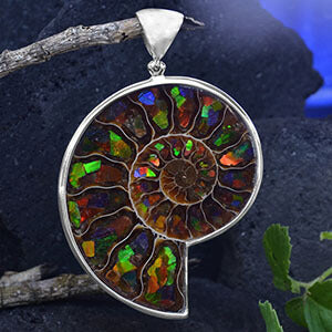 Ammolite Thumbnail