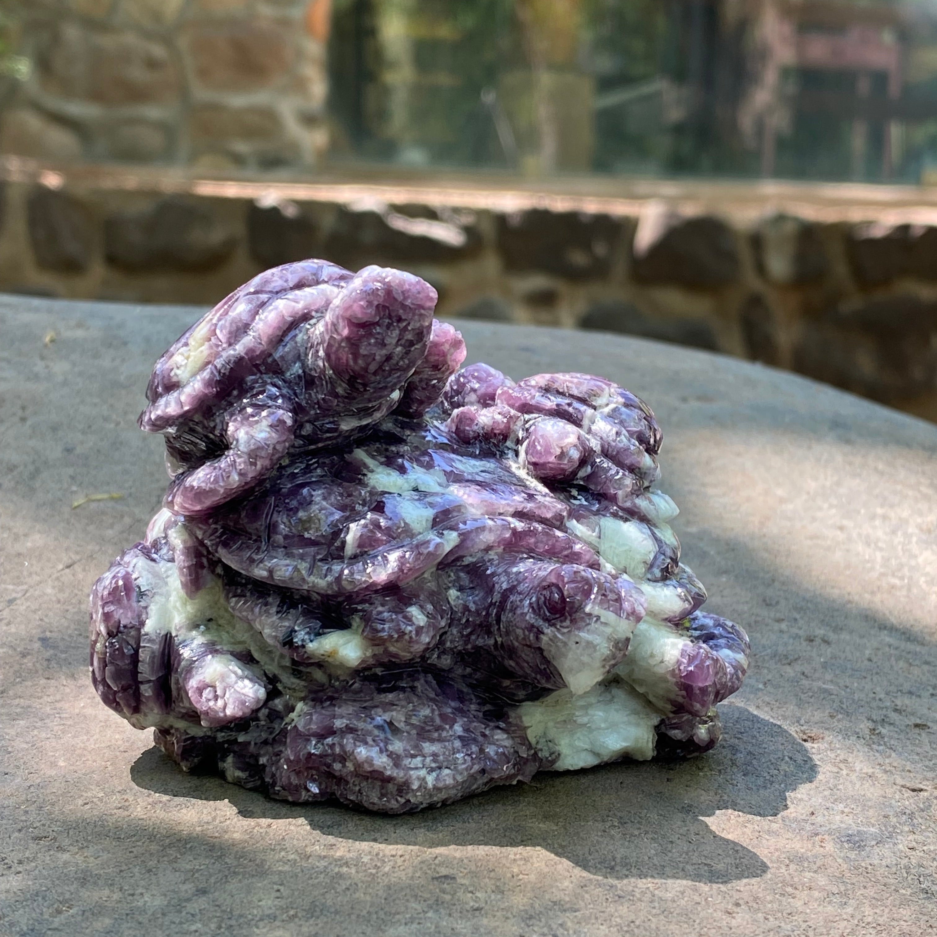 Starborn Hand Carved Lepidolite Turtle Family