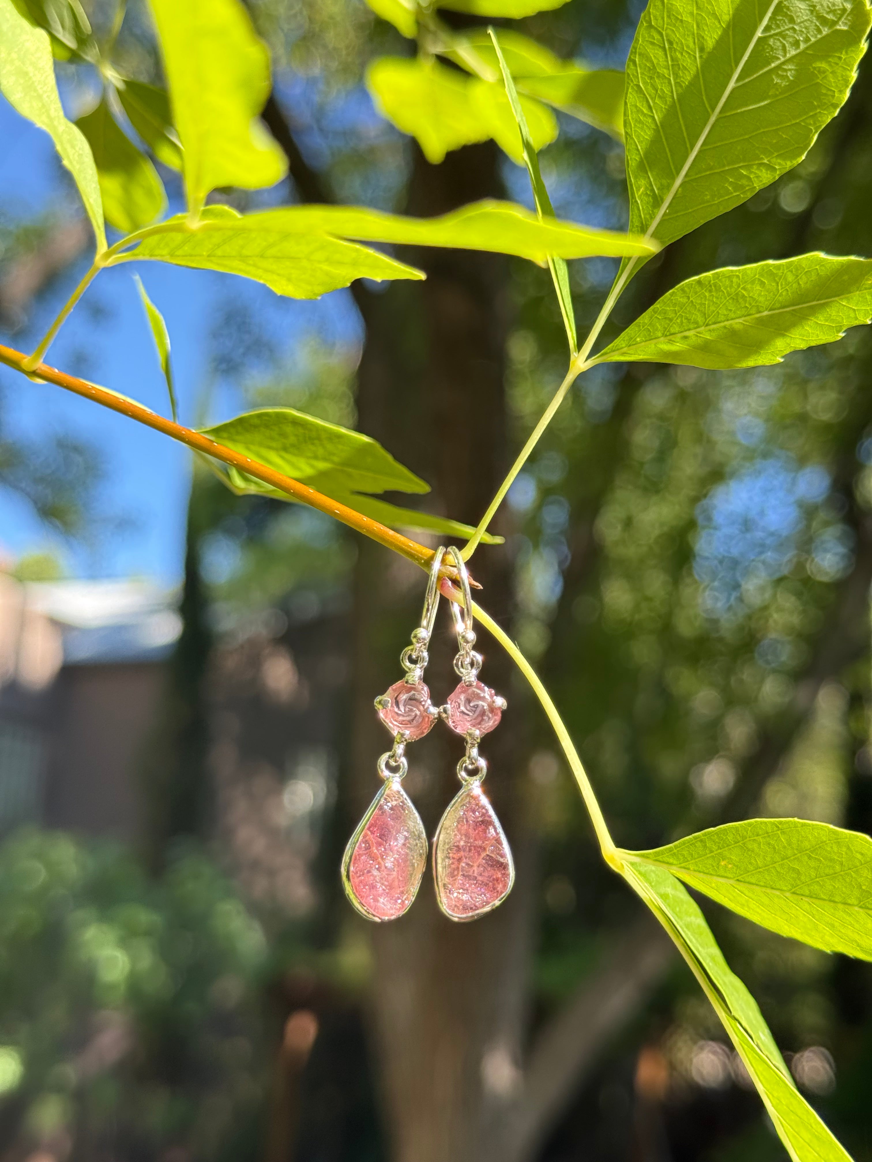 Starborn Watermelon Tourmaline Rose Dangle Earrings in Sterling Silver