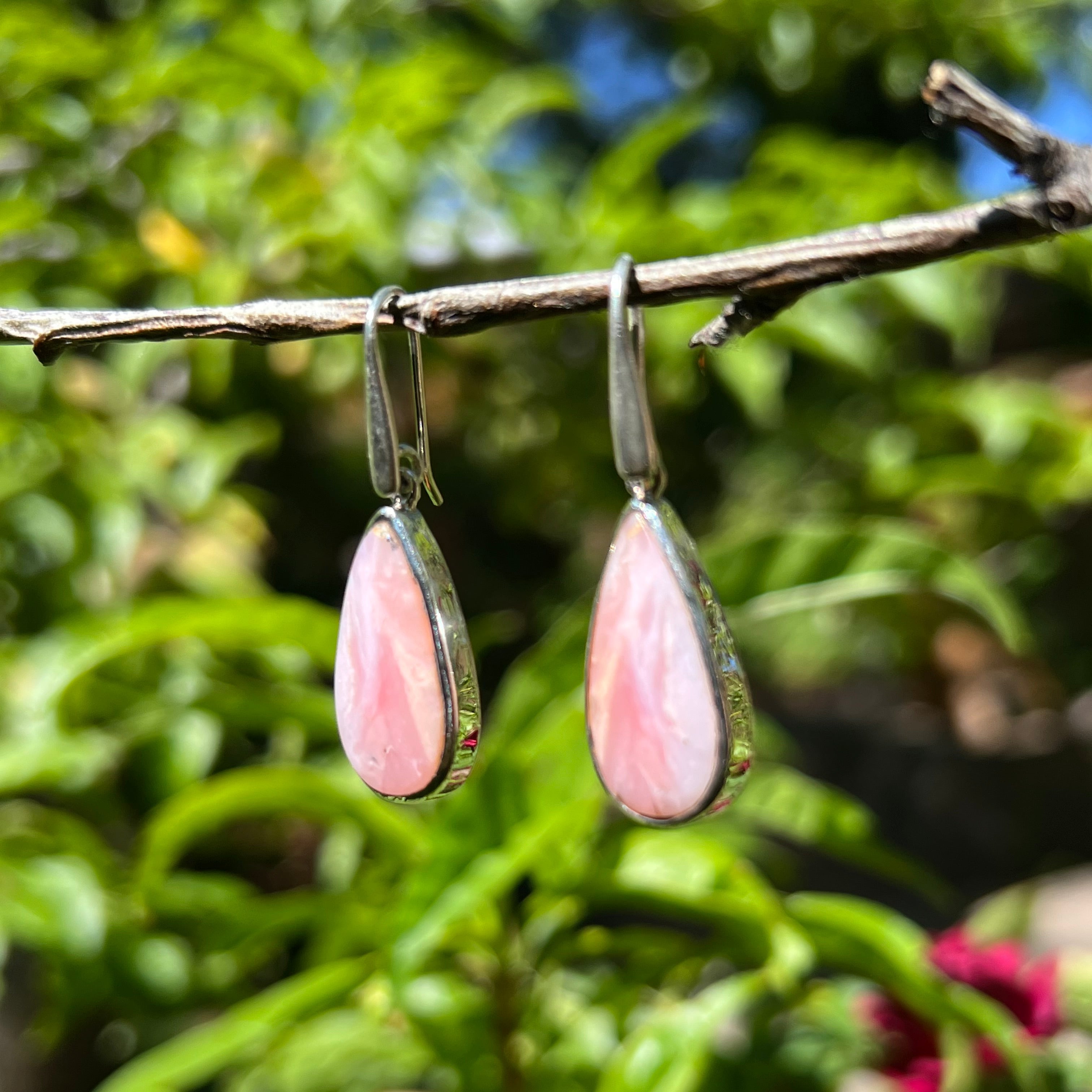 Starborn Pink Opal Dangle Earrings in Sterling Silver