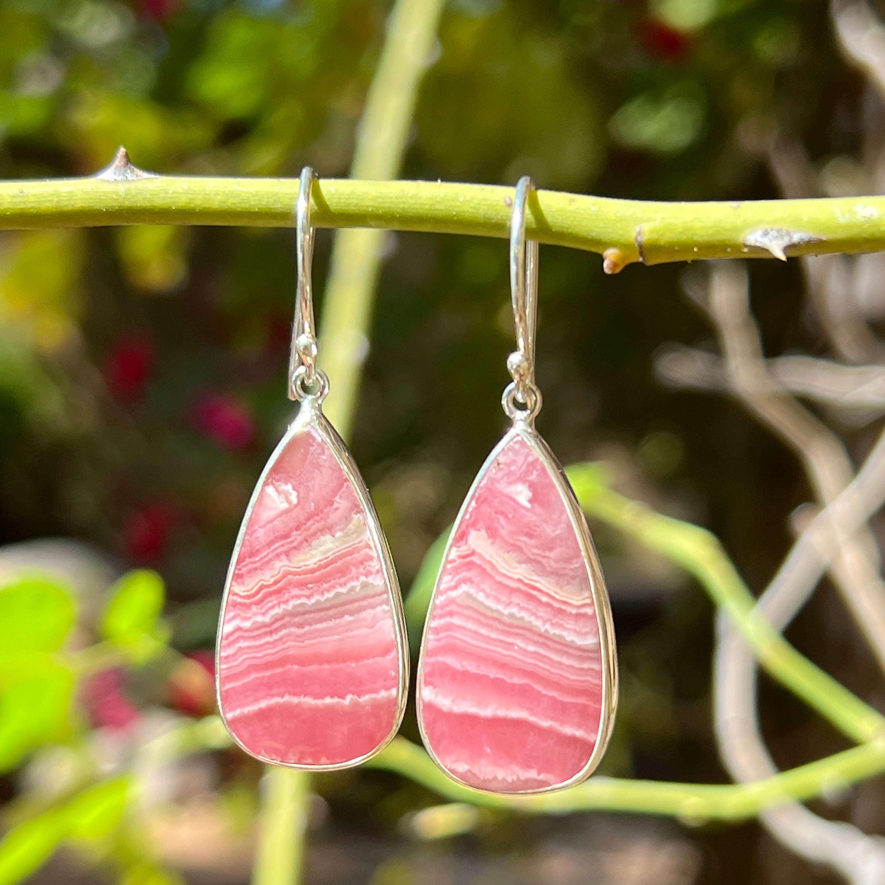Starborn Rhodochrosite Dangle Earrings in Sterling Silver