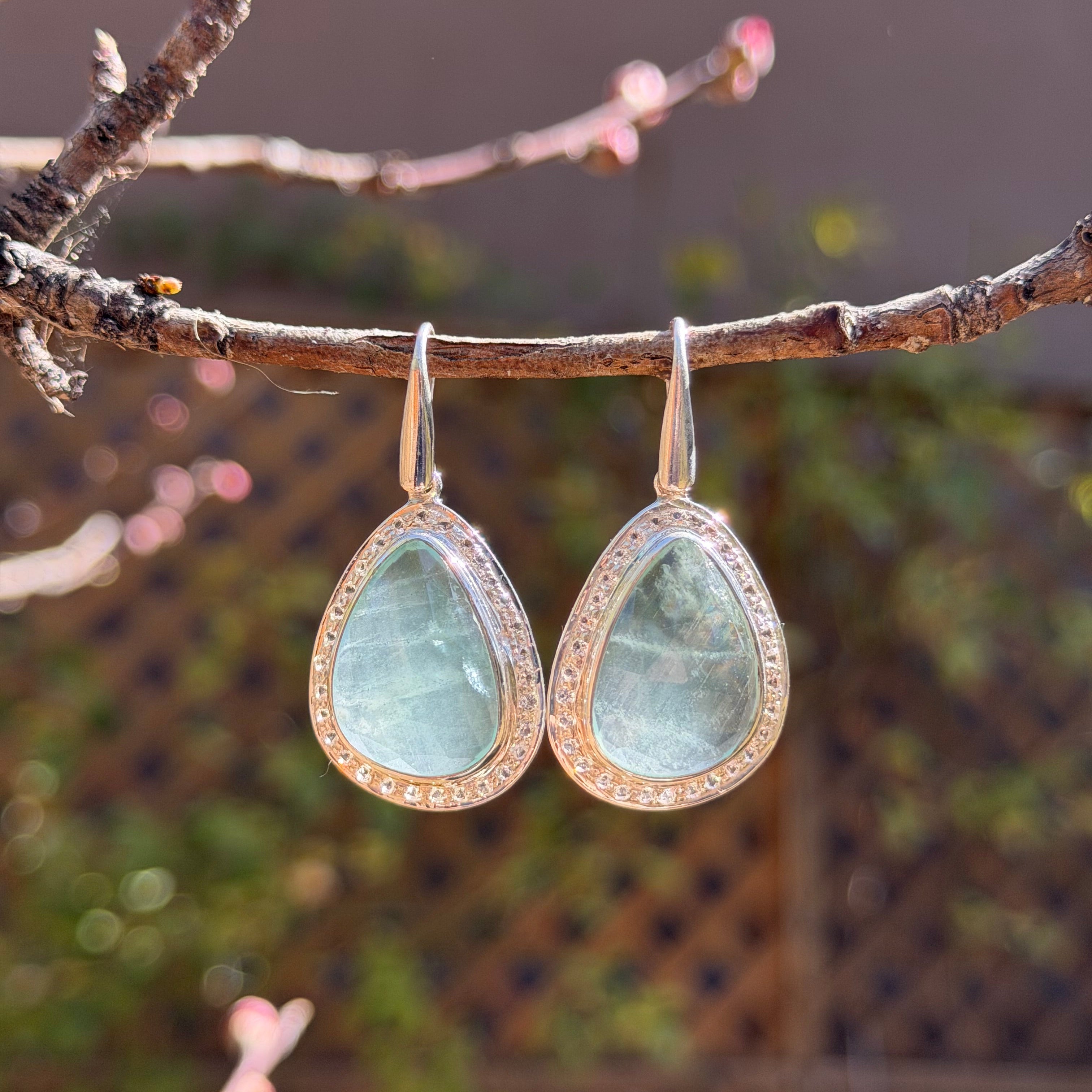 Teardrop shaped faceted Aquamarine Dangle Earrings in Sterling Silver hanging on a tree branch