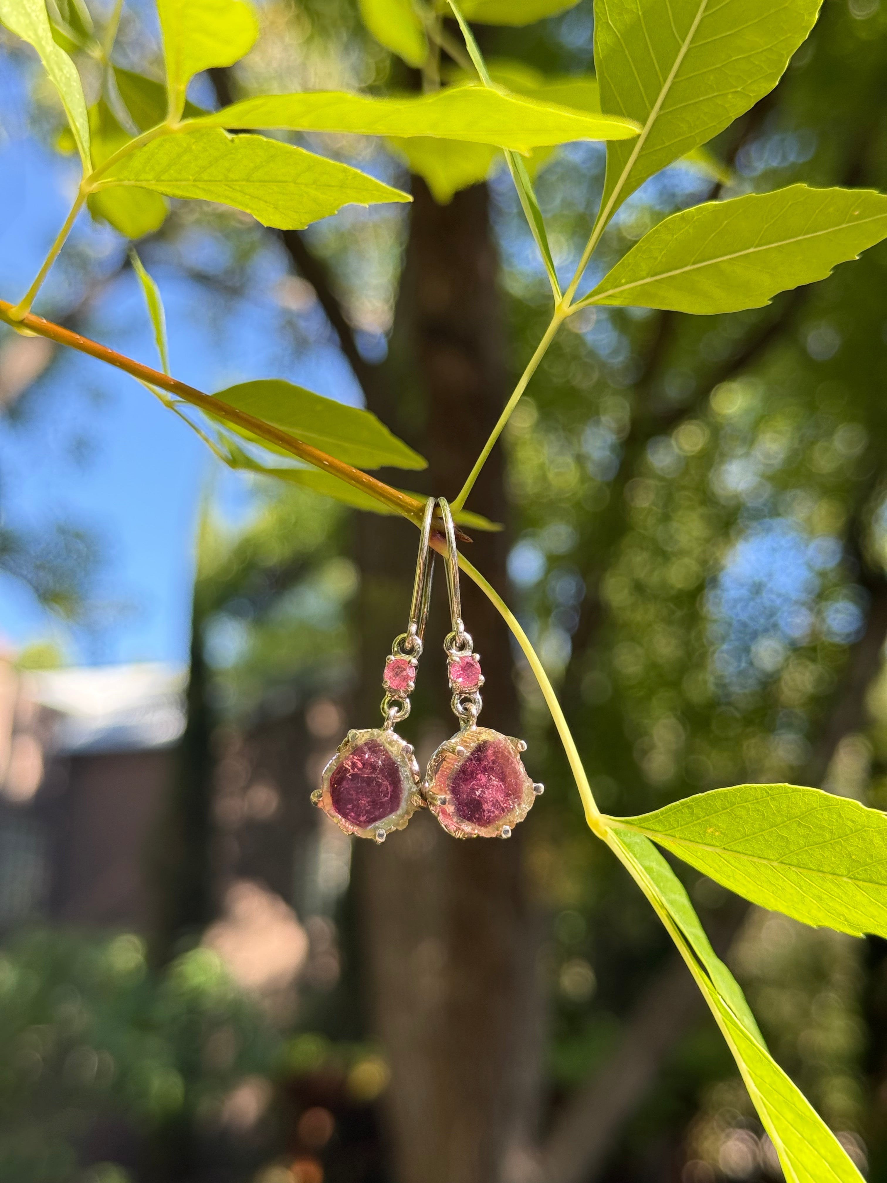 Starborn Watermelon Tourmaline Slice Dangle Earrings in Sterling Silver