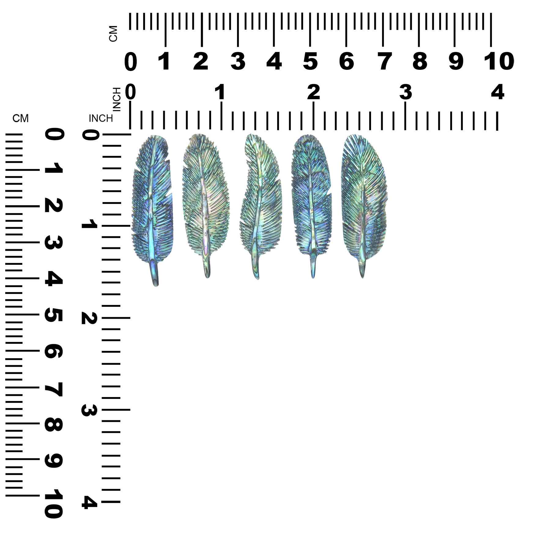 Starborn Abalone Shell Feather Carving - 1 Piece