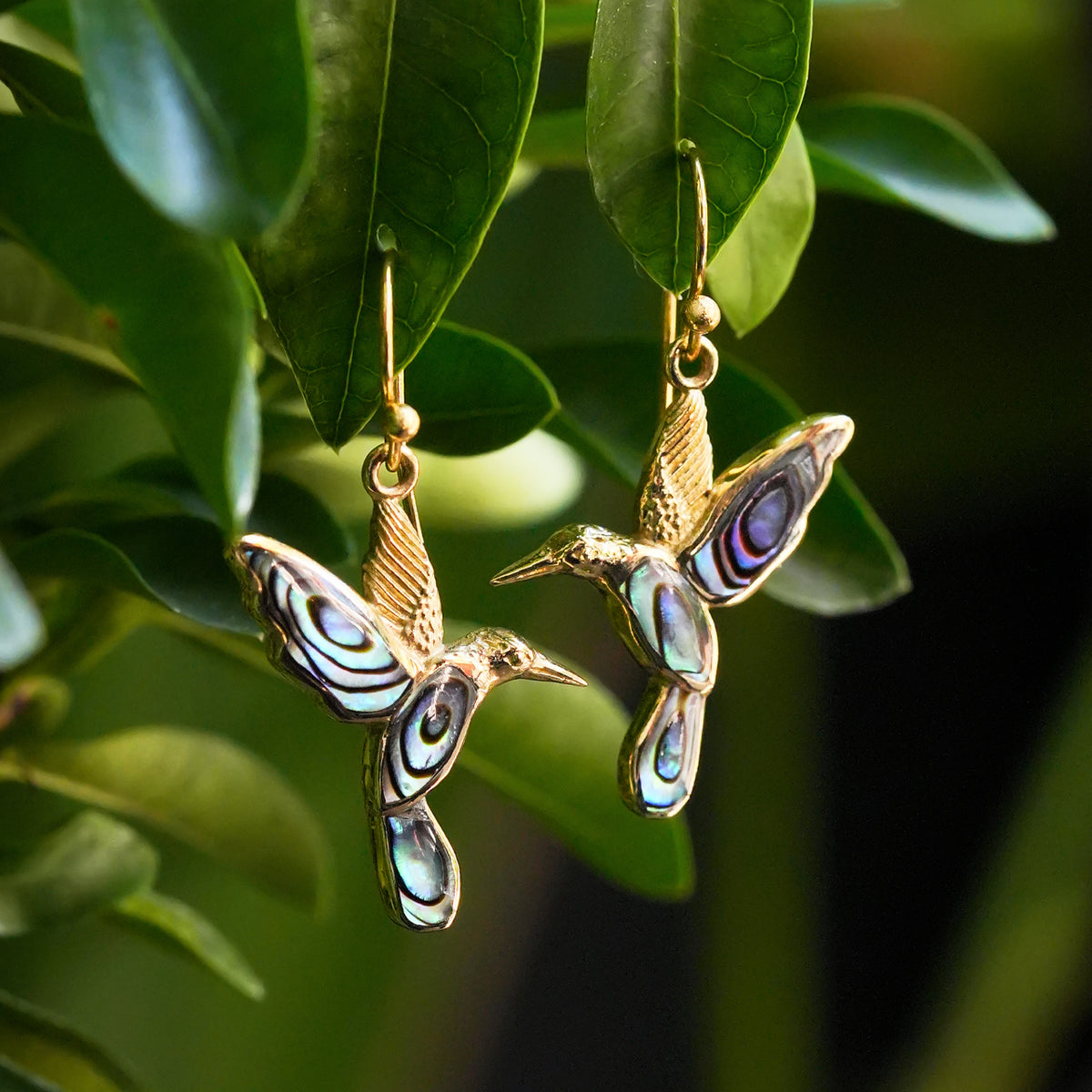 Starborn Abalone Shell Hummingbird Earrings in Sterling Silver