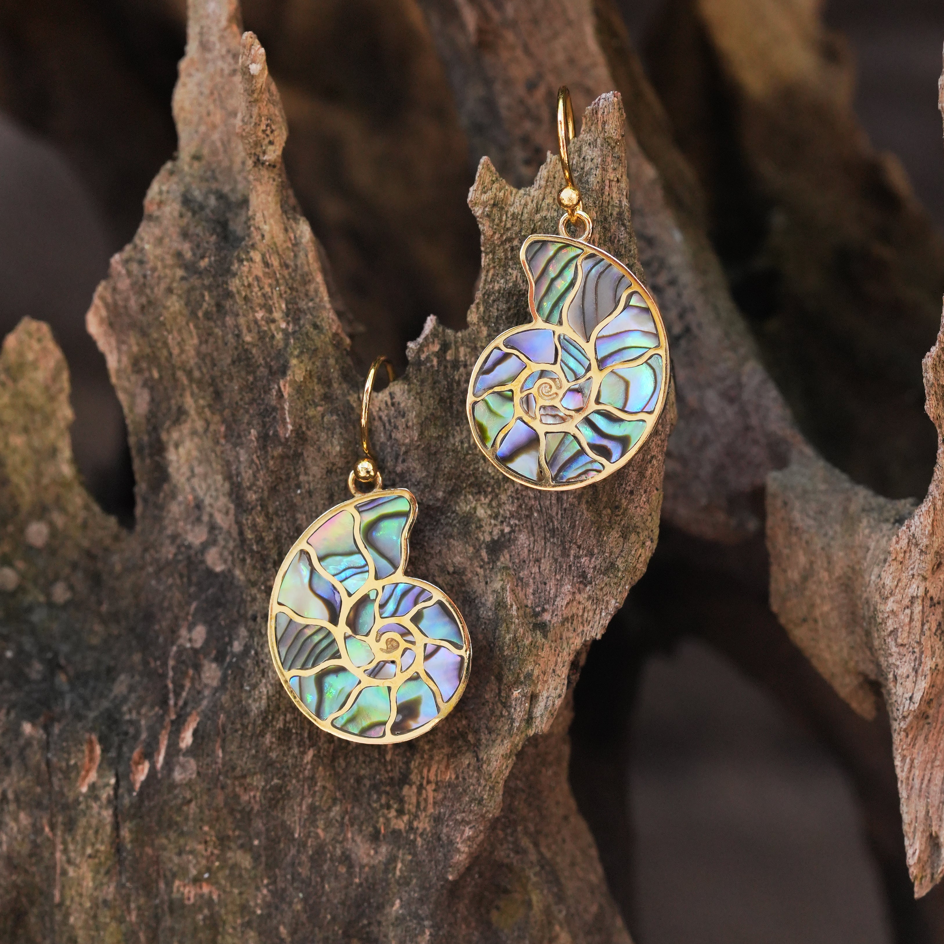 Starborn Nautilus-Ammonit mit Abalone-Muscheleinlage Ohrringe
